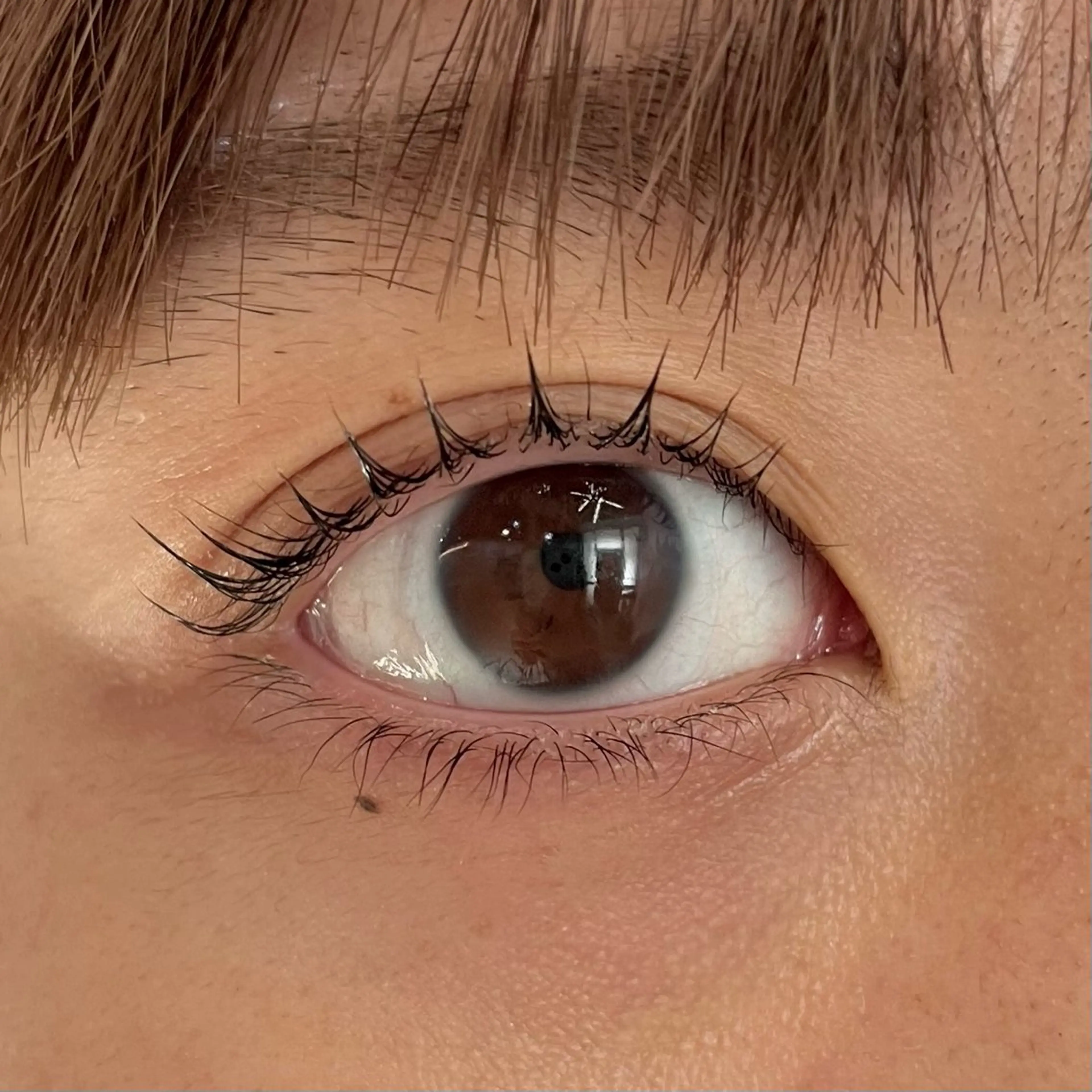 マツエク・マツパ 一重×まつ毛パーマ ワンホンマツエク マツパ ブリーチなしカラー ダブルカラーエクステのヘアスタイル