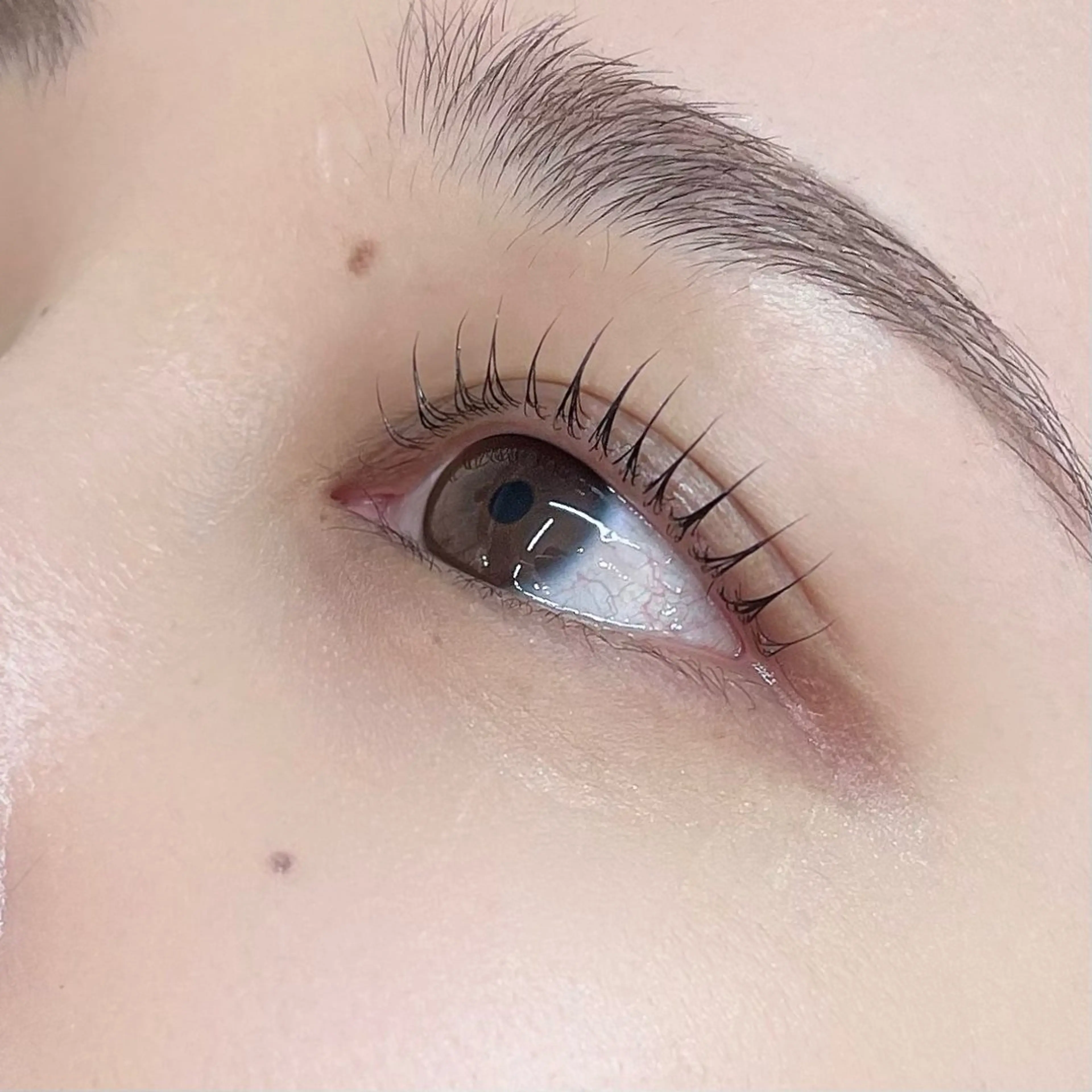 マツエク・マツパ SSINSTUDIO 嶋添 陽菜の眉毛・アイブロウイメージ