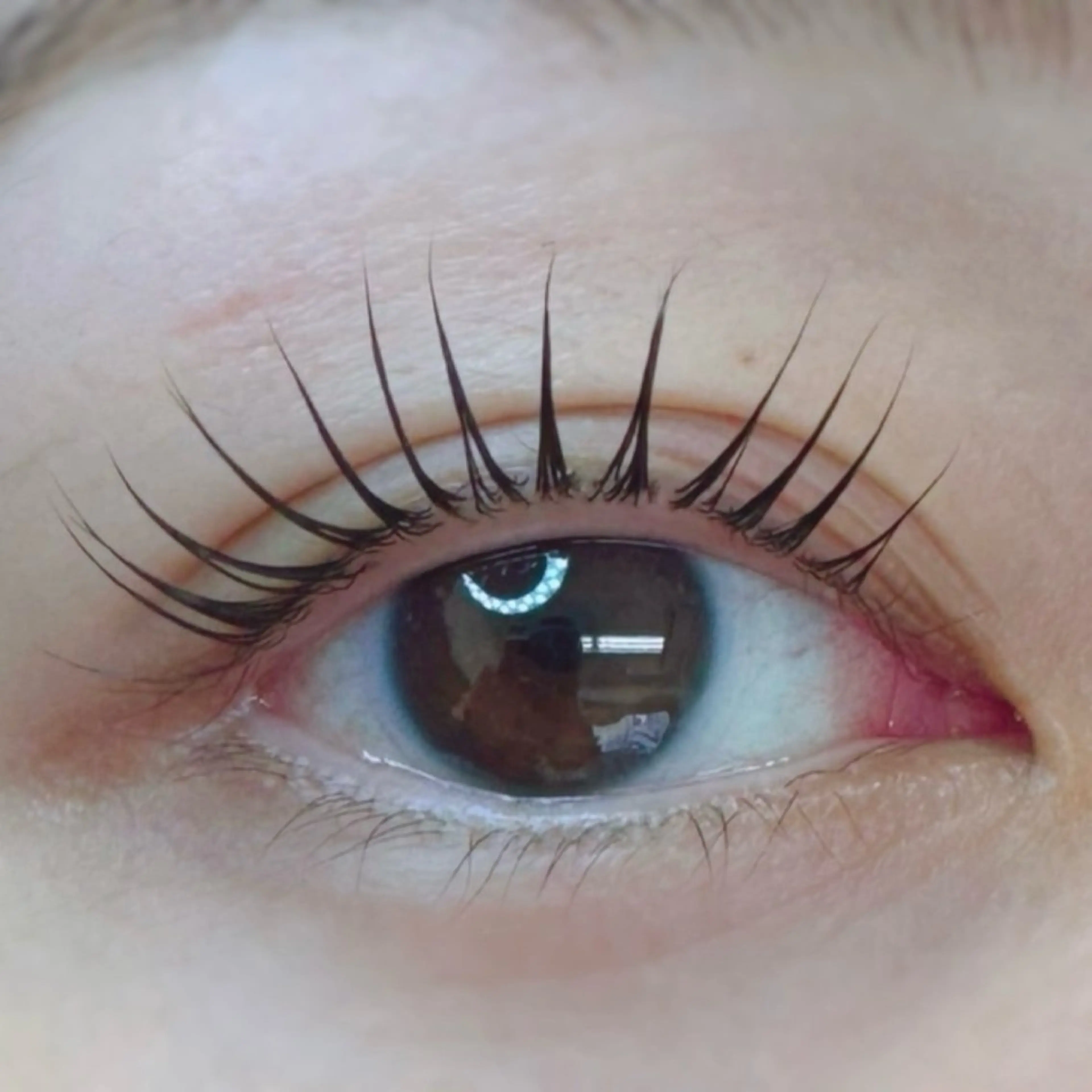 マツエク・マツパ パリジェンヌラッシュリフト まつげパーマ 🧸 Emiri🫧のマツエク・マツパデザイン