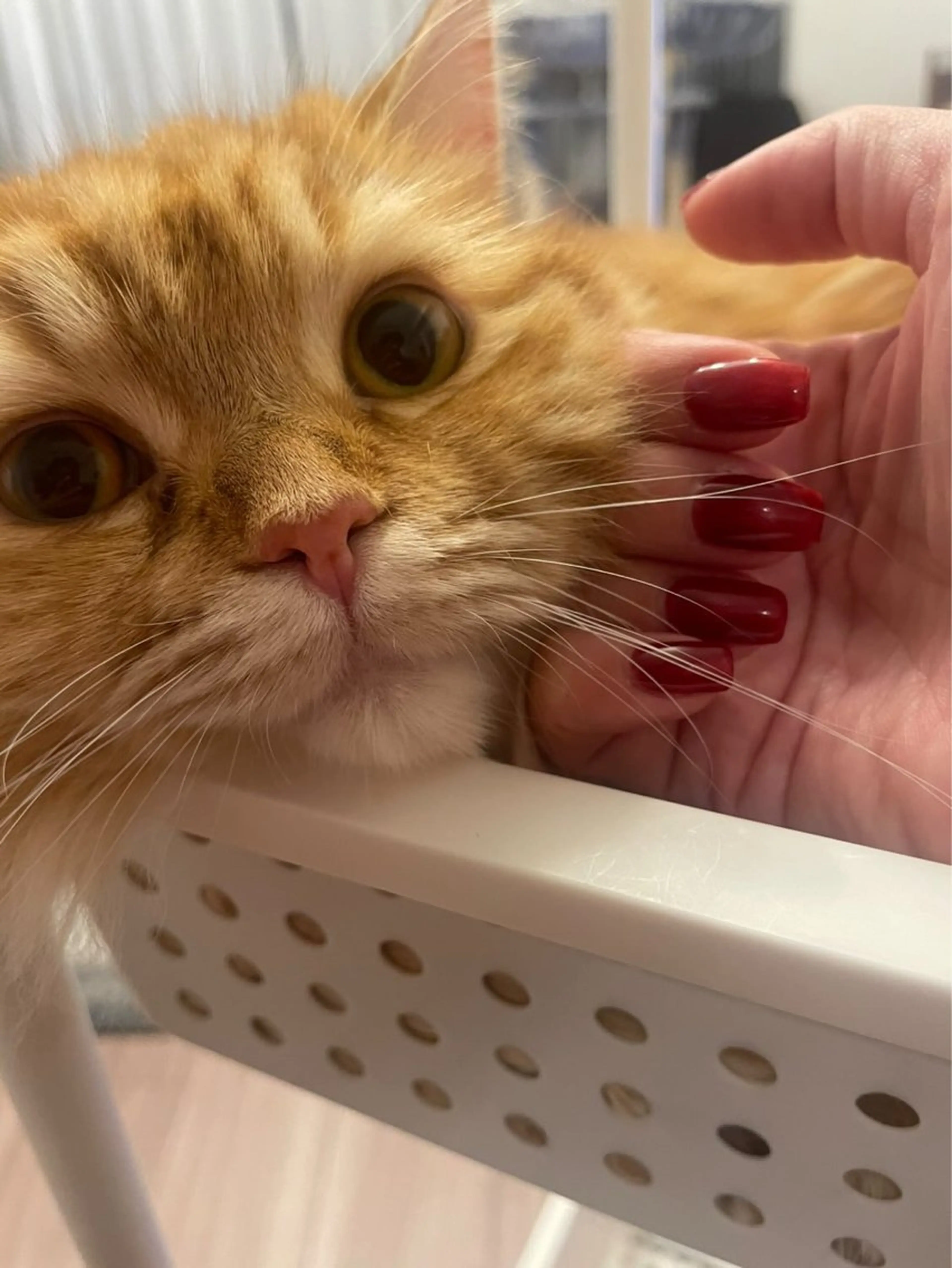 ネイル K Aのネイルデザイン