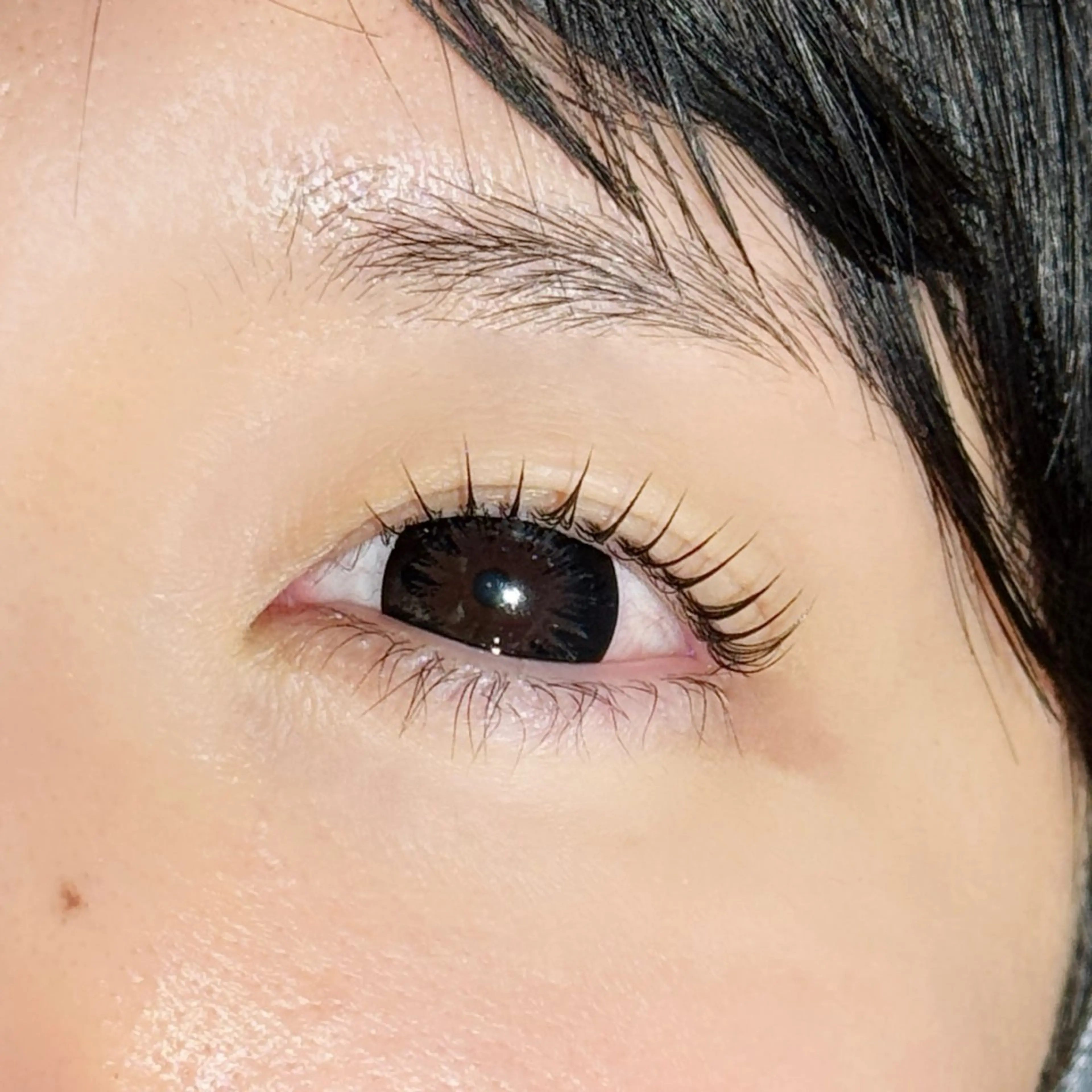 マツエク・マツパ 韓国風マツエク マツパ CielbyLuxe 小川のマツエク・マツパデザイン