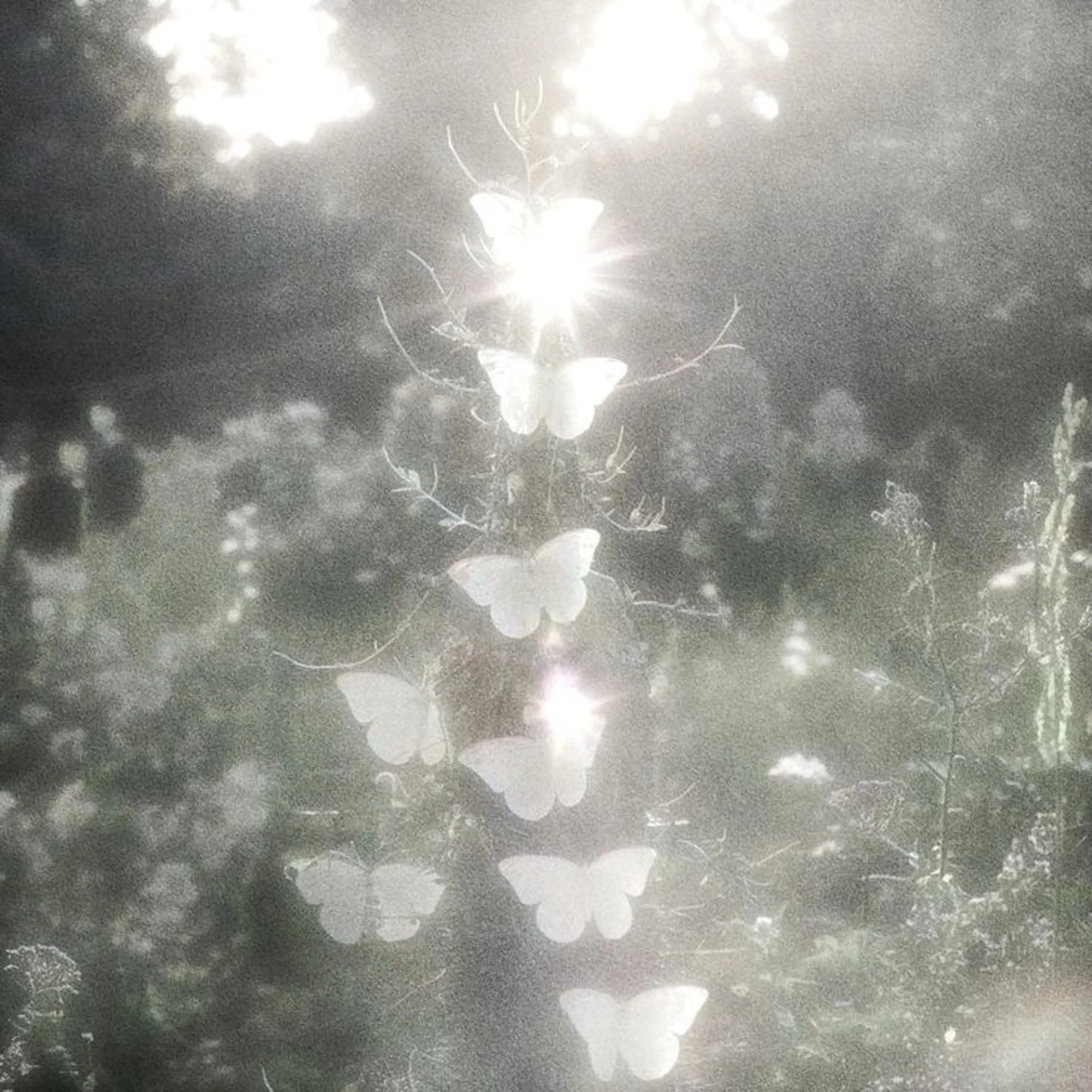 🎀マリーテレジア OKAZAWA🎀のマツエク・マツパデザイン