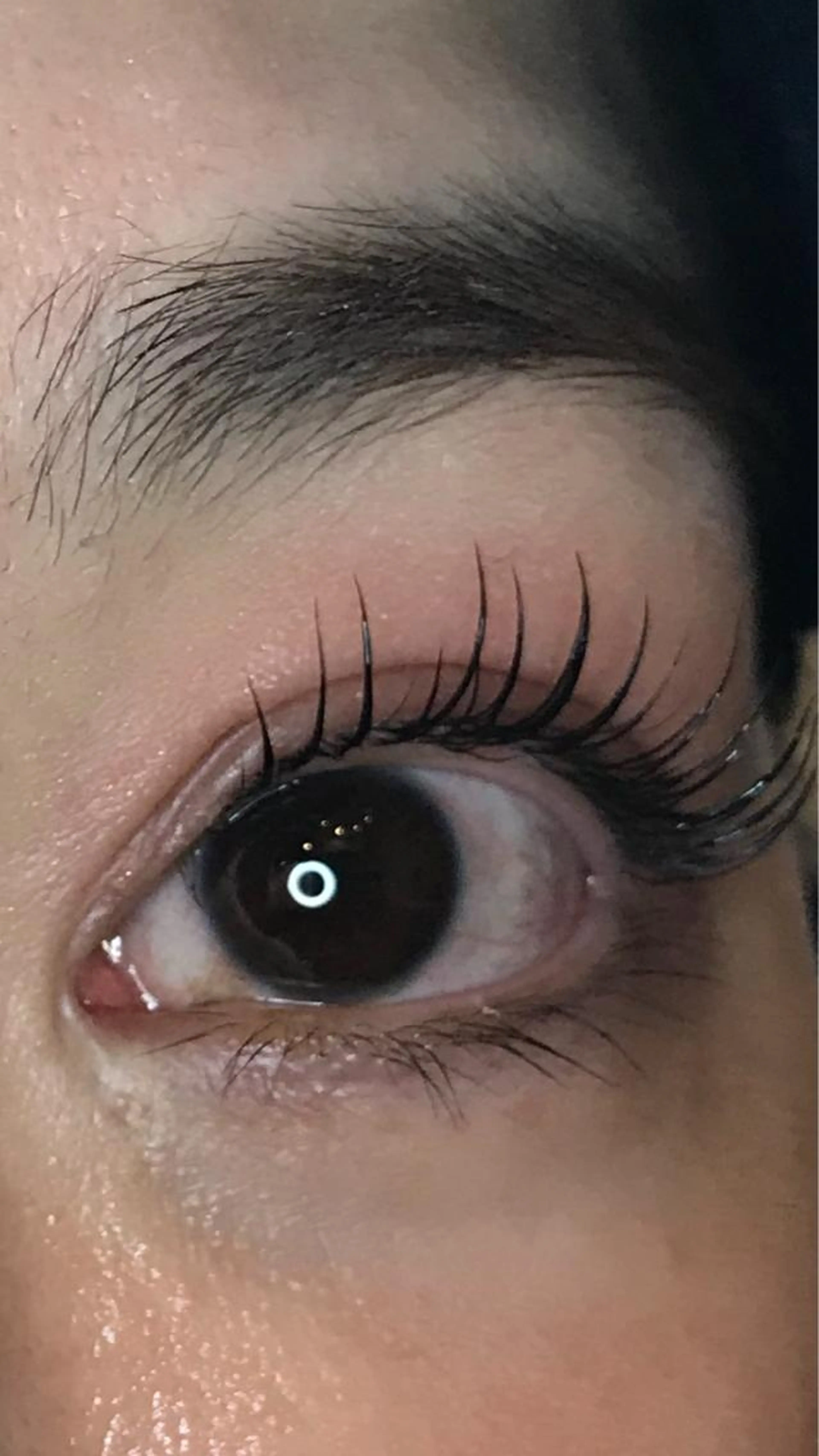 ラッシュリフト上下🌸の写真