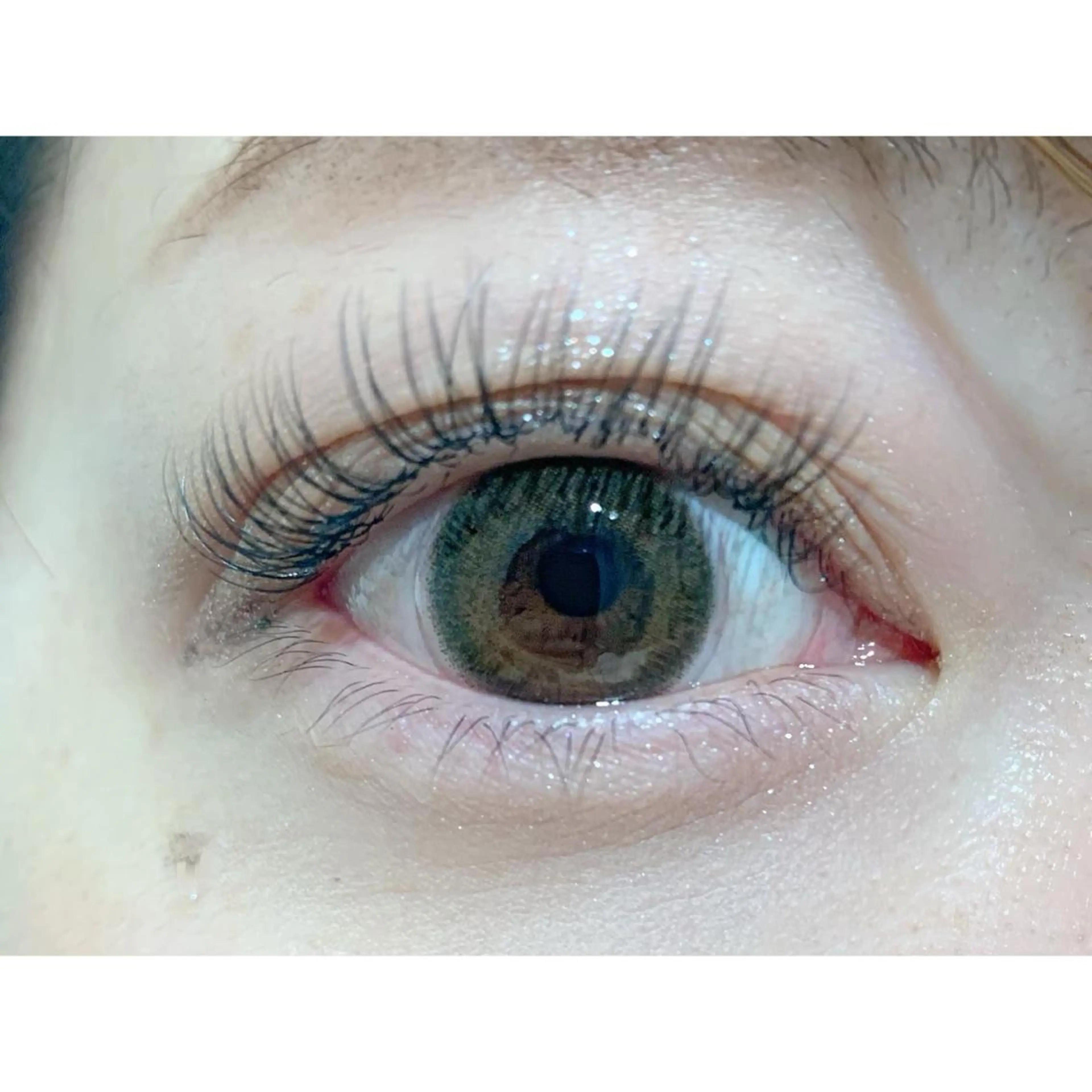 マツエク・マツパ 付け放題 Dカール フラットラッシュ 坂西 春果のマツエク・マツパデザイン