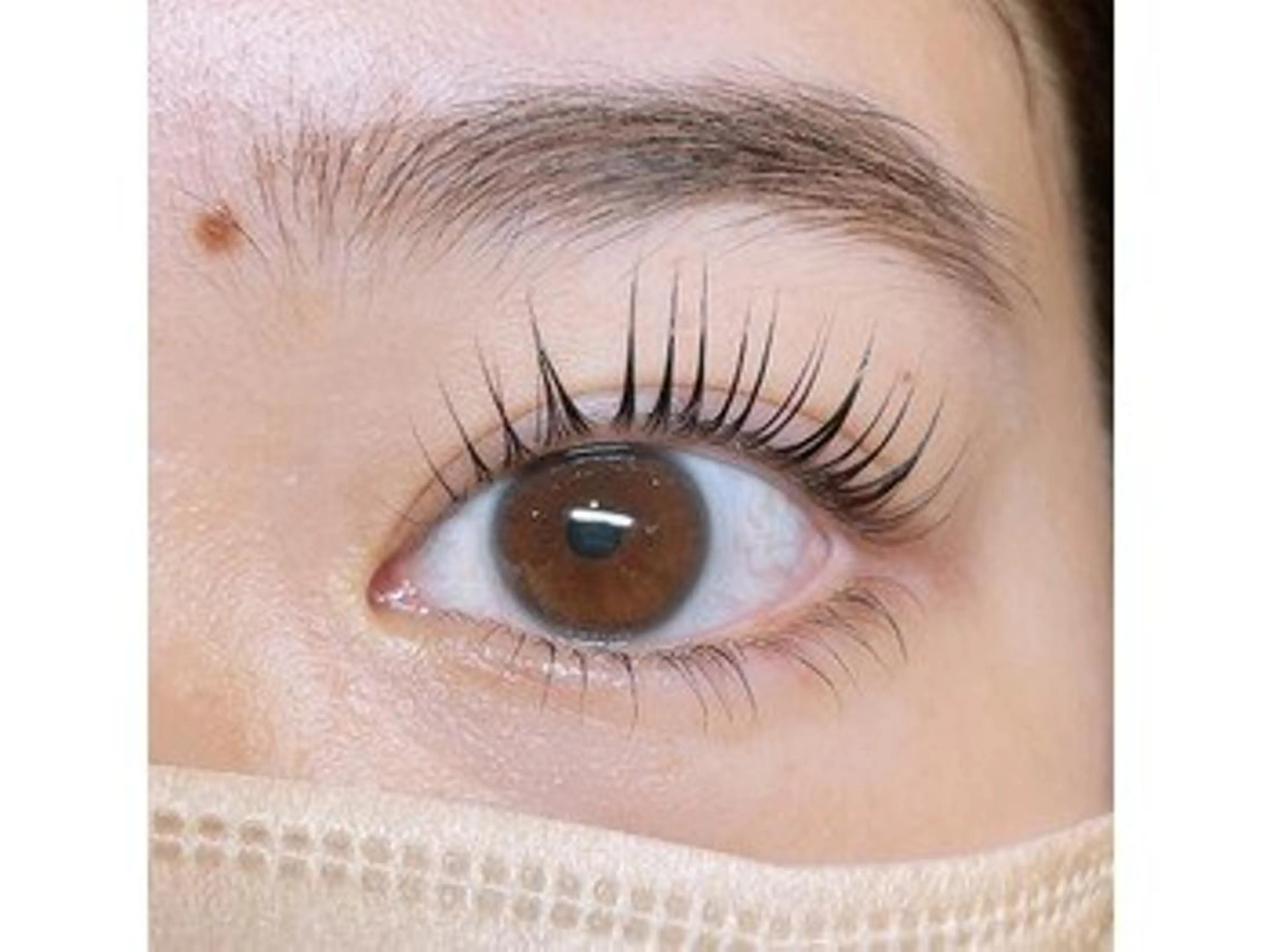 マツエク・マツパ ベルキャット Ａのマツエク・マツパデザイン