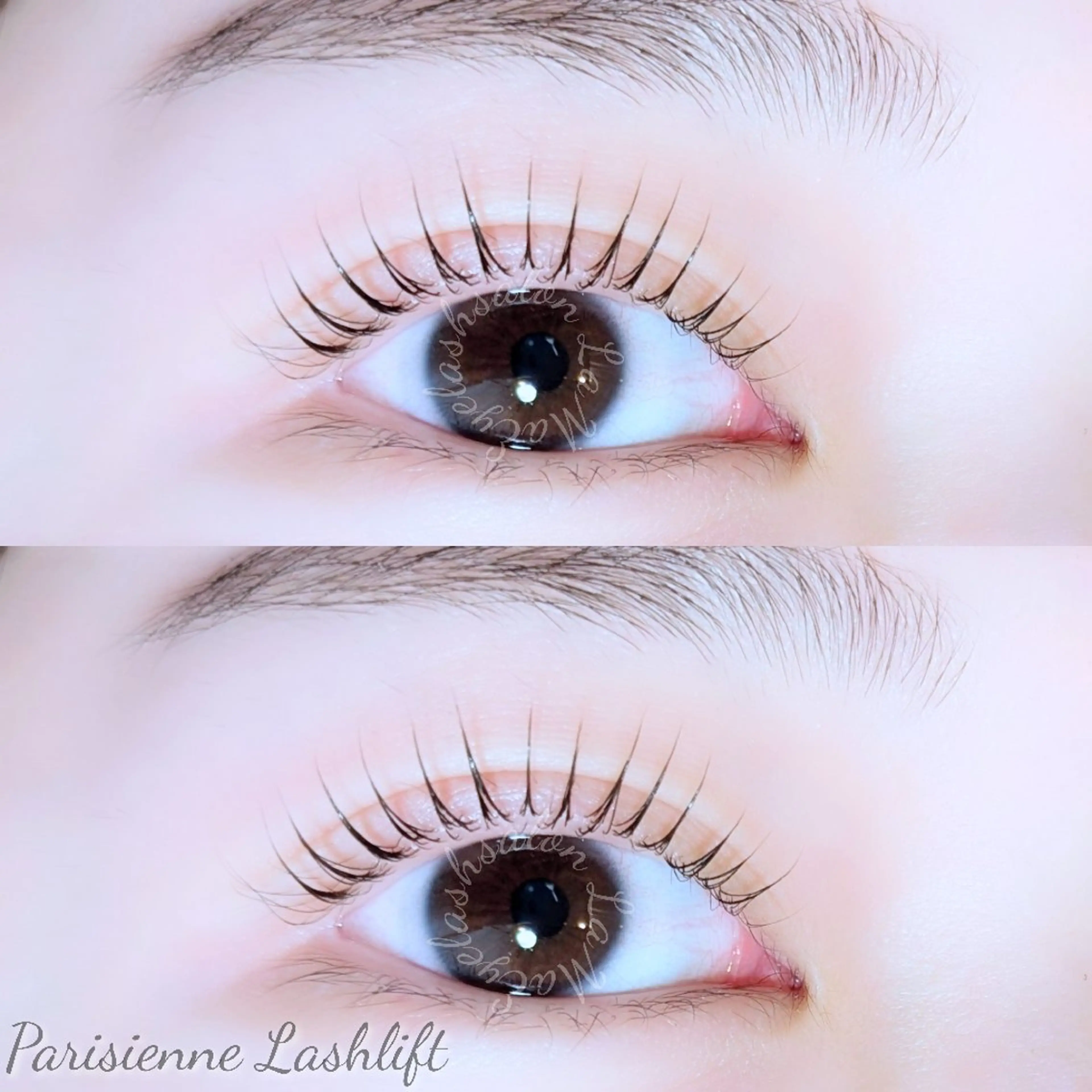 🫧パリジェンヌラッシュリフト🫧土日祝+550円/リピーター様+550円/指定日時外+300円の写真