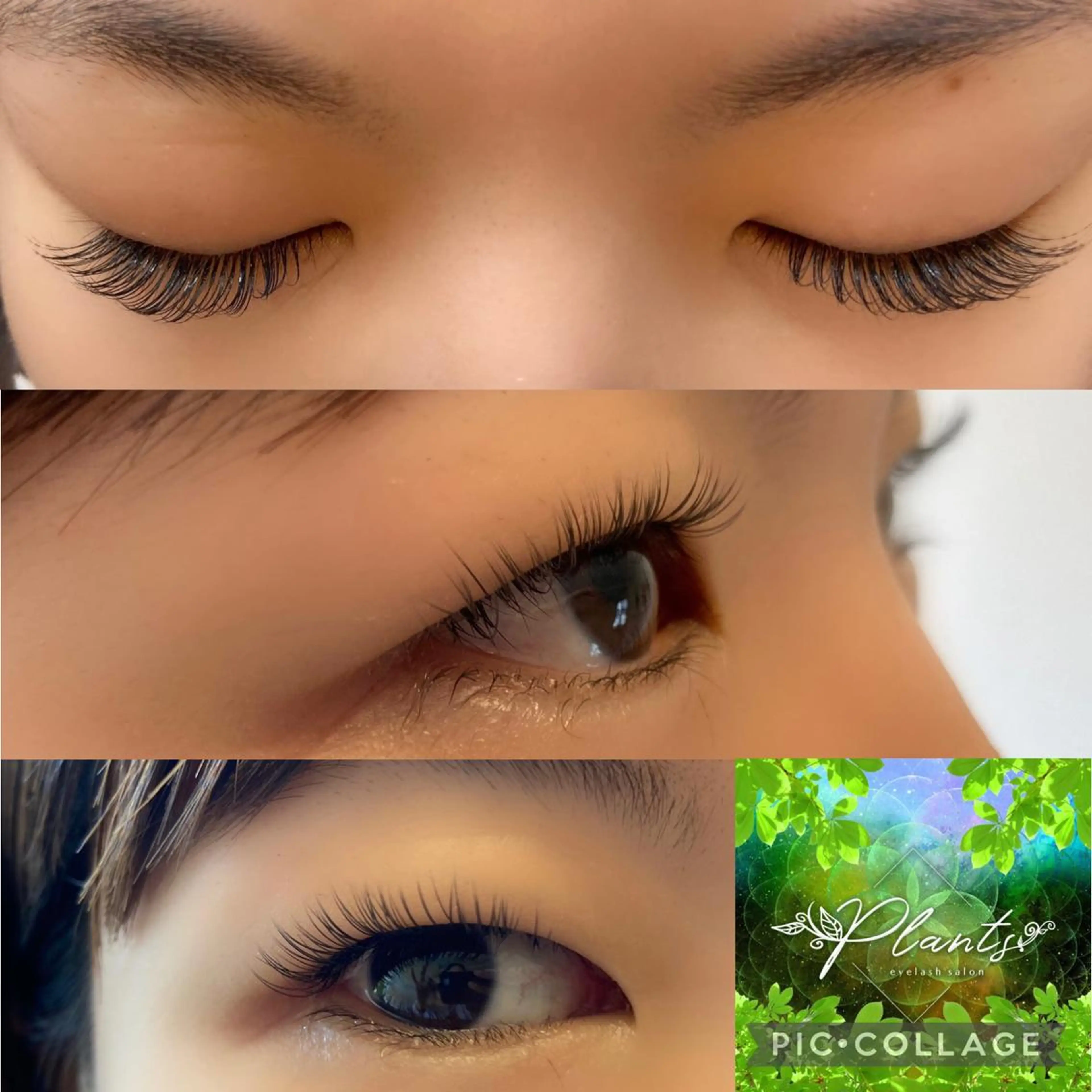 マツエク・マツパ Cカール Dカール Plants　斧田 ひろみのマツエク・マツパデザイン