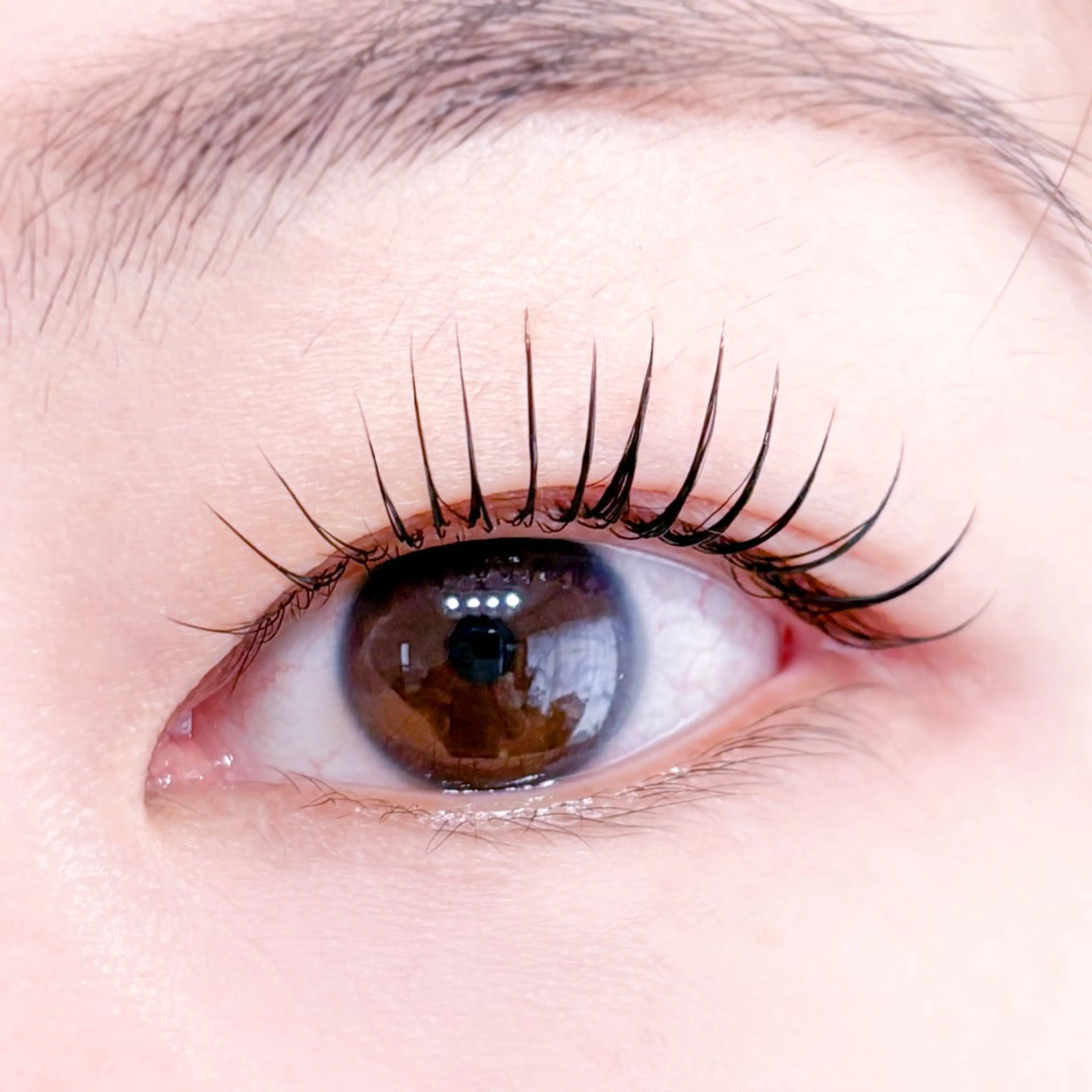 韓国発🇰🇷日本でも話題の【マスカラパーマ】✨🫶の写真