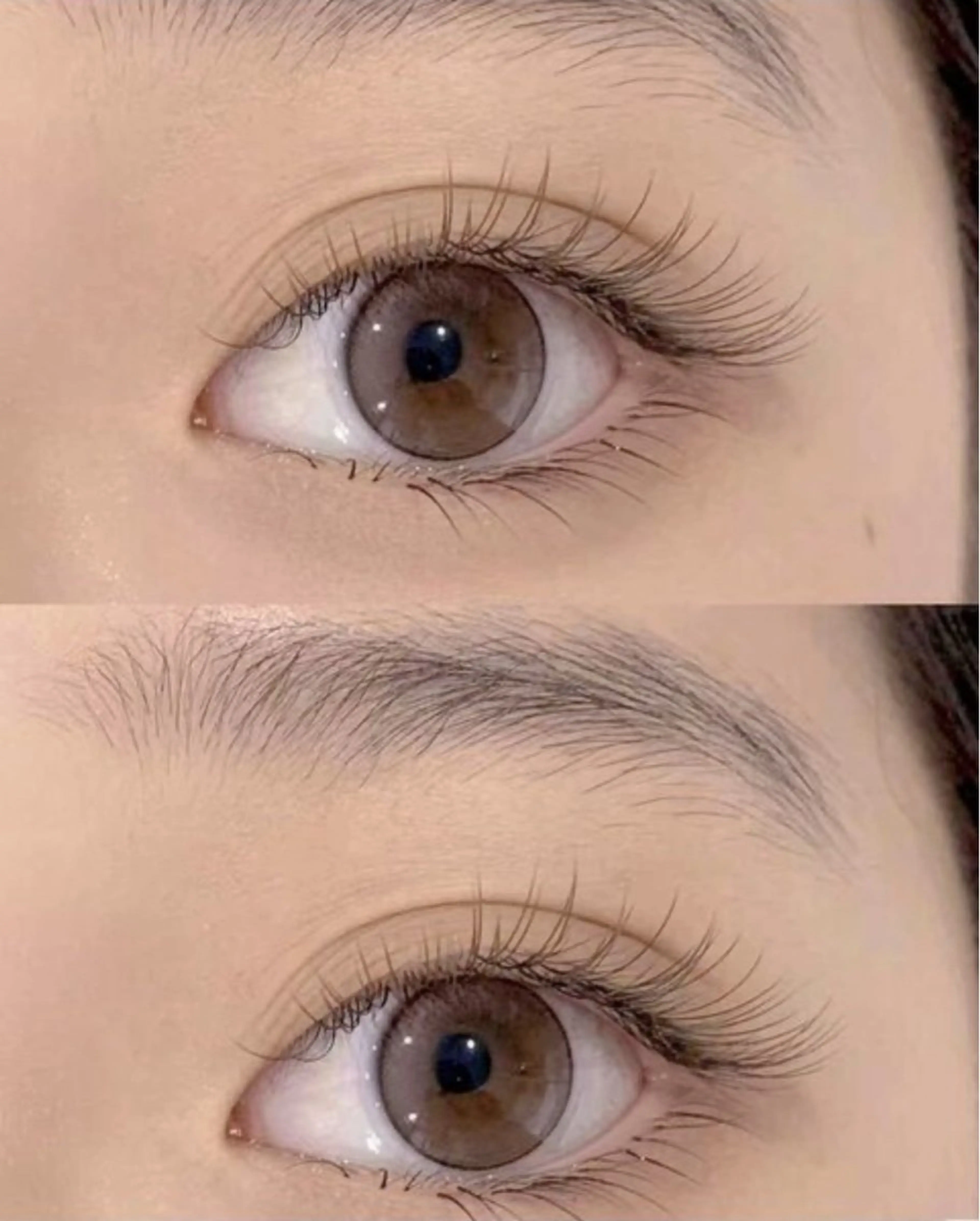 フラットラッシュ120本の写真