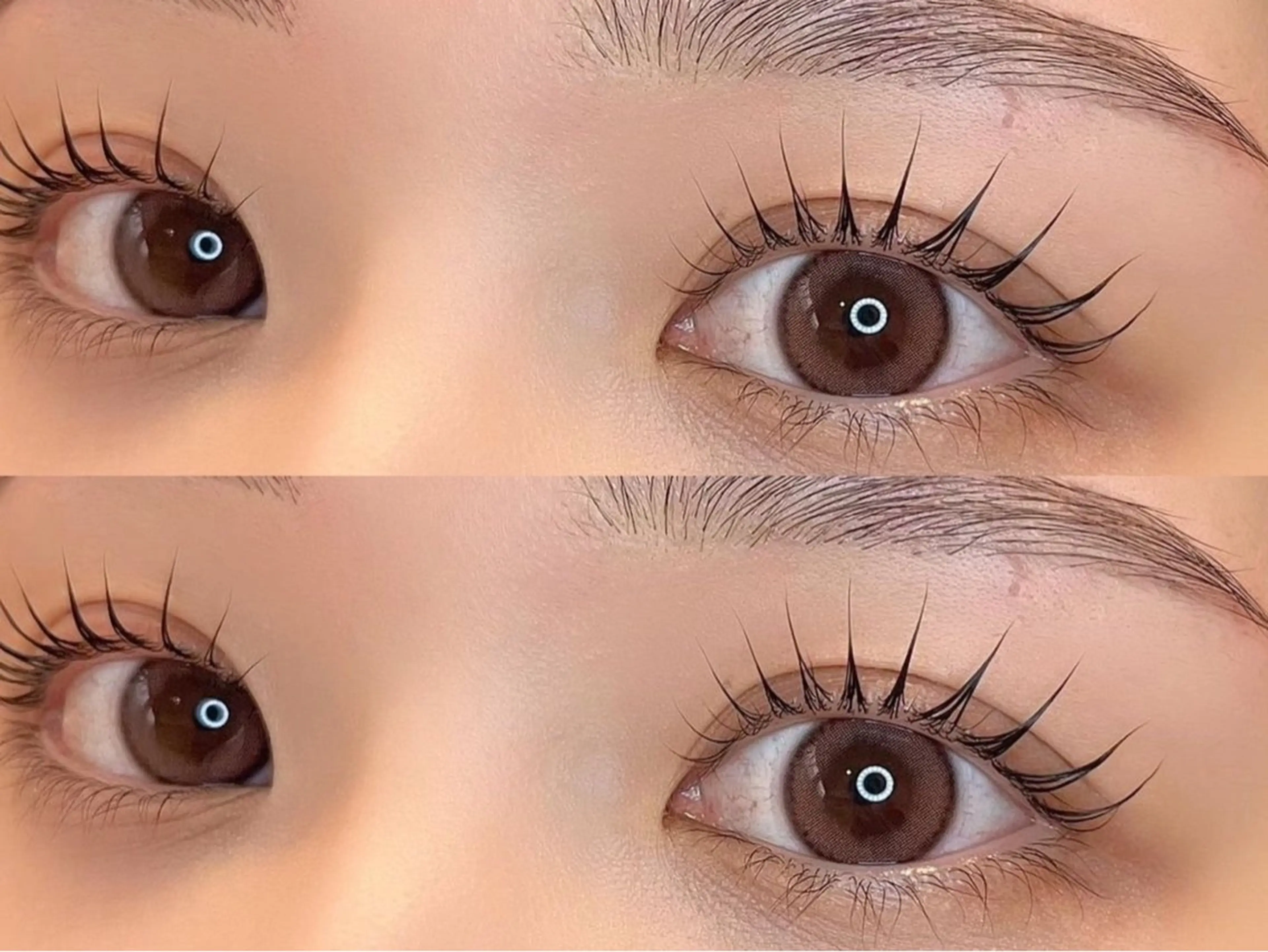 《minimoモデル》🍰パリジェンヌラッシュリフト or 次世代まつげパーマ🌟の写真