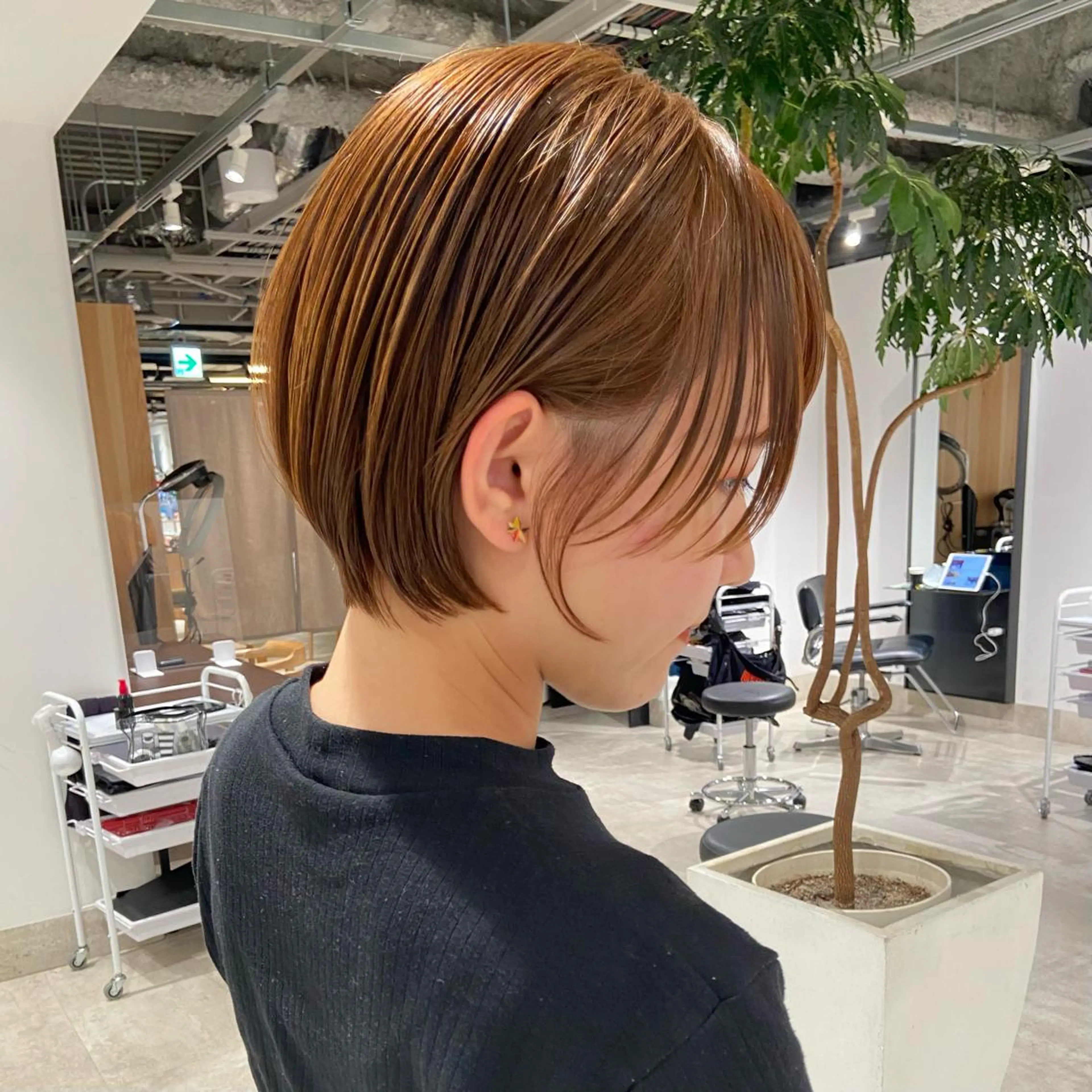 ショート カラー 丸みショート ブラウンカラー 透明感カラー ショートヘア ヘアカラー 大人ヘア/ショート/ ボブ/レイヤーのヘアスタイル