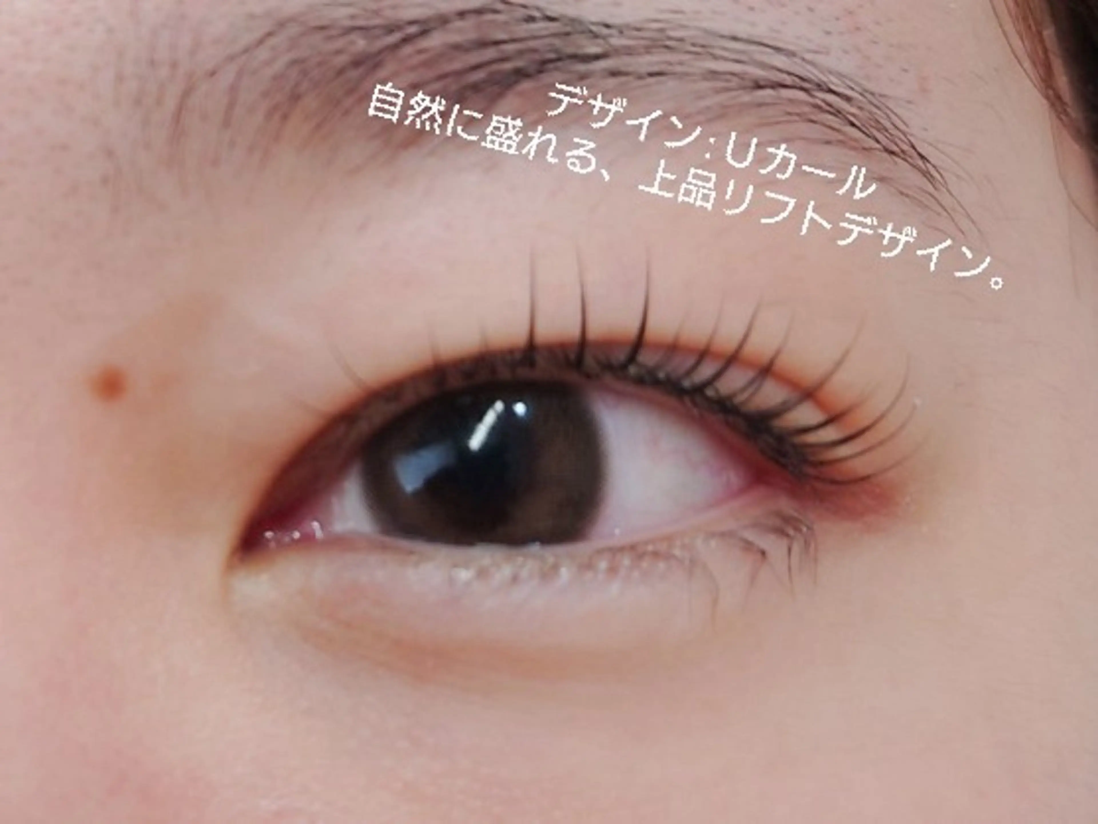 マツエク・マツパ ビューティーサロン MOMOのマツエク・マツパデザイン