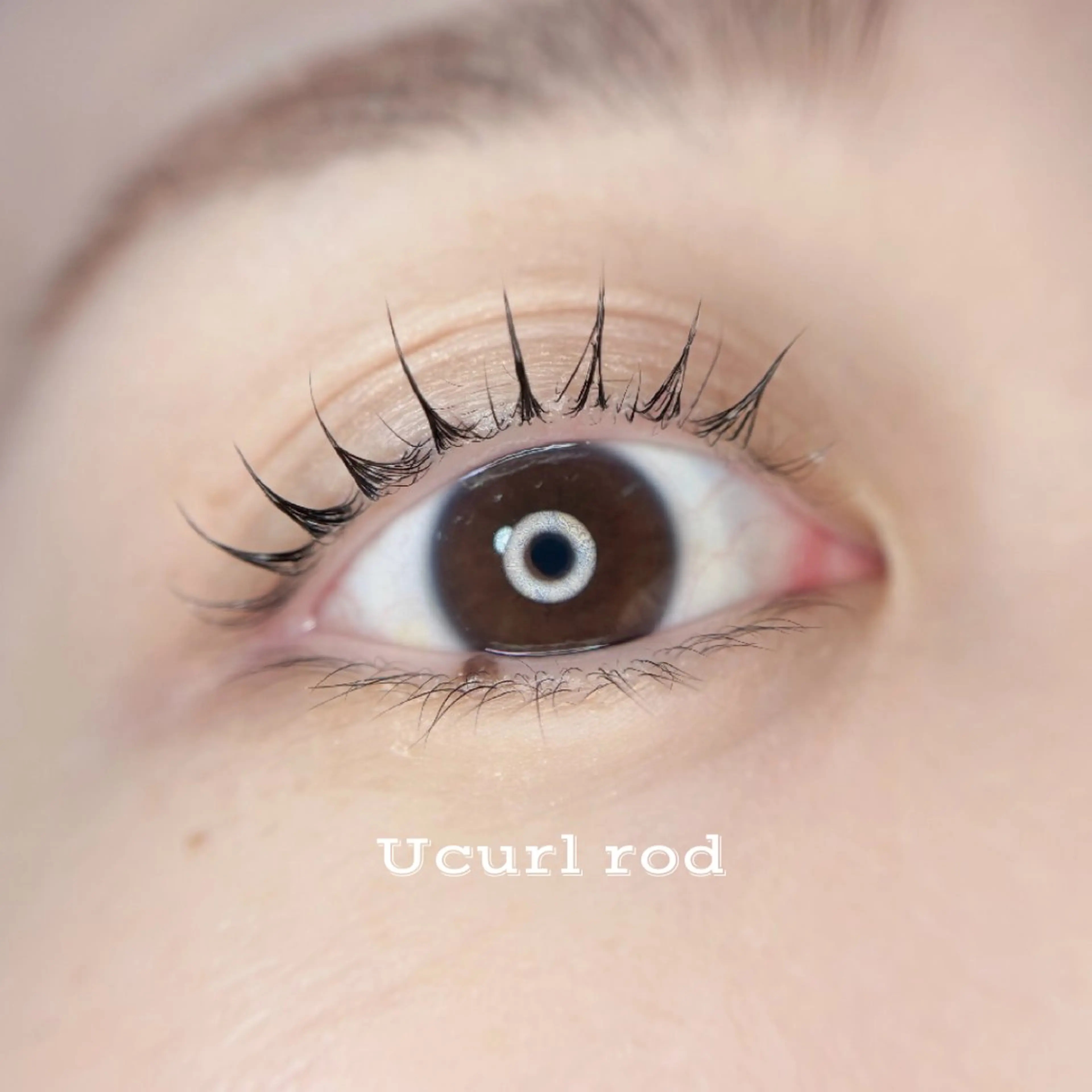 マツエク・マツパ パリジェンヌラッシュリフト まつげパーマ 一重×まつ毛パーマ 🦋MaaZlash 南流山FUKA🤍のマツエク・マツパデザイン