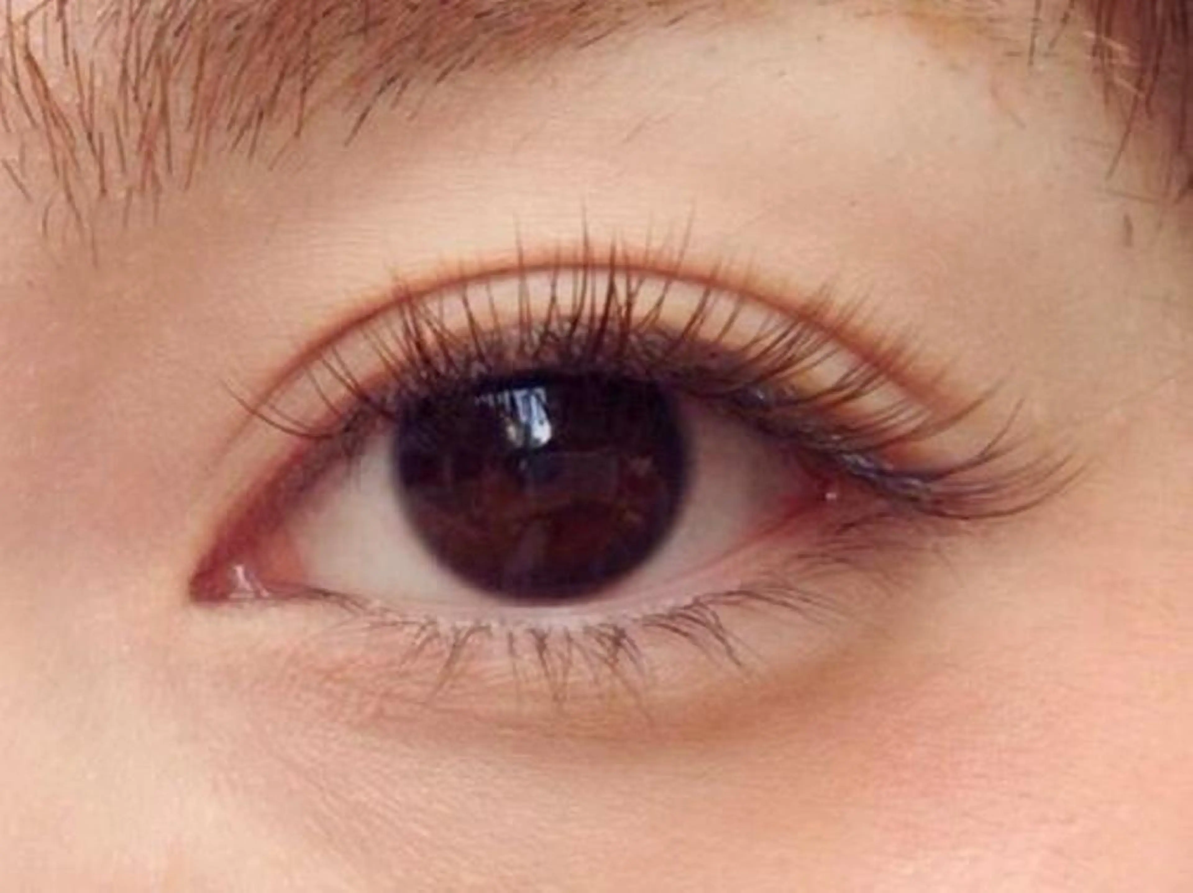 🩷ご新規様🩷ブラウンエクステ120本（オフ無料）の写真