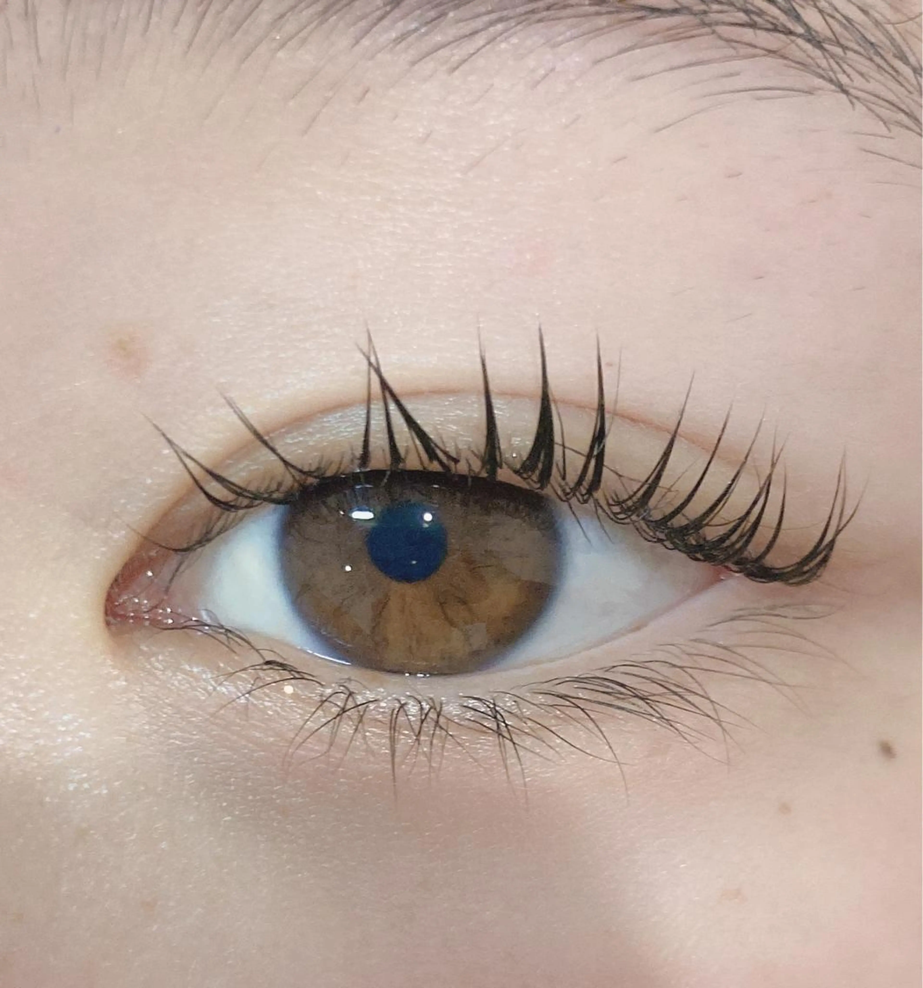 パーマ マツパ Eye Glossのマツエク・マツパデザイン