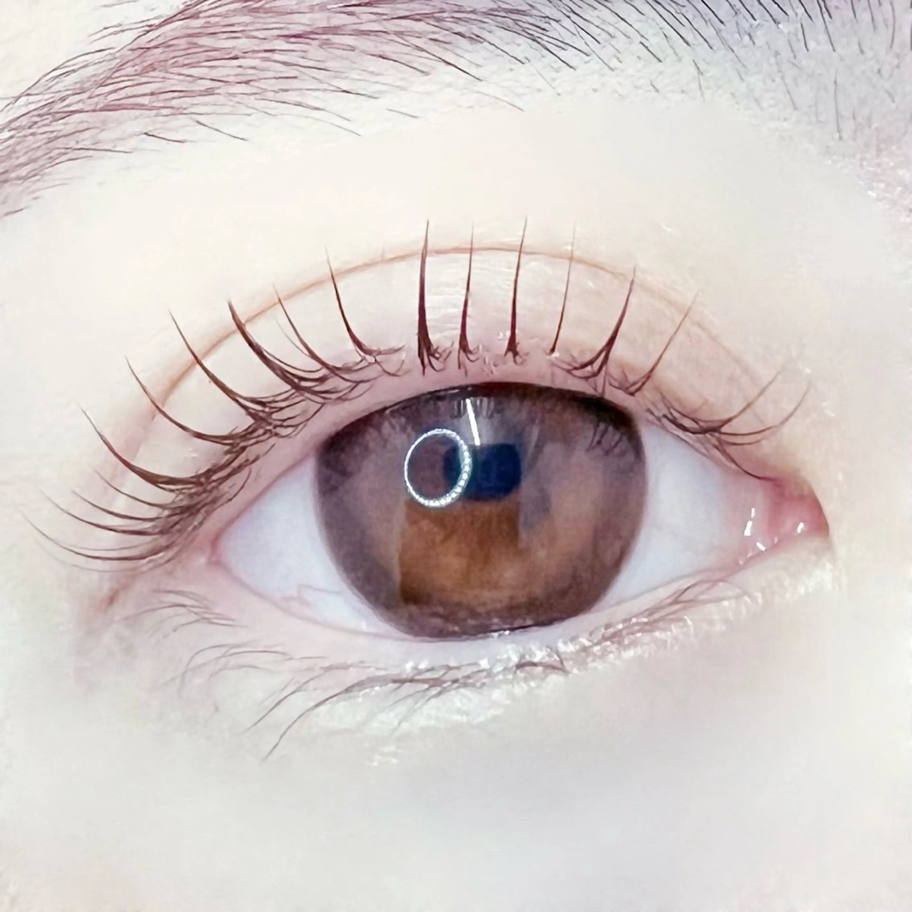 マツエク・マツパ JESSICA荻窪 川窪のマツエク・マツパデザイン