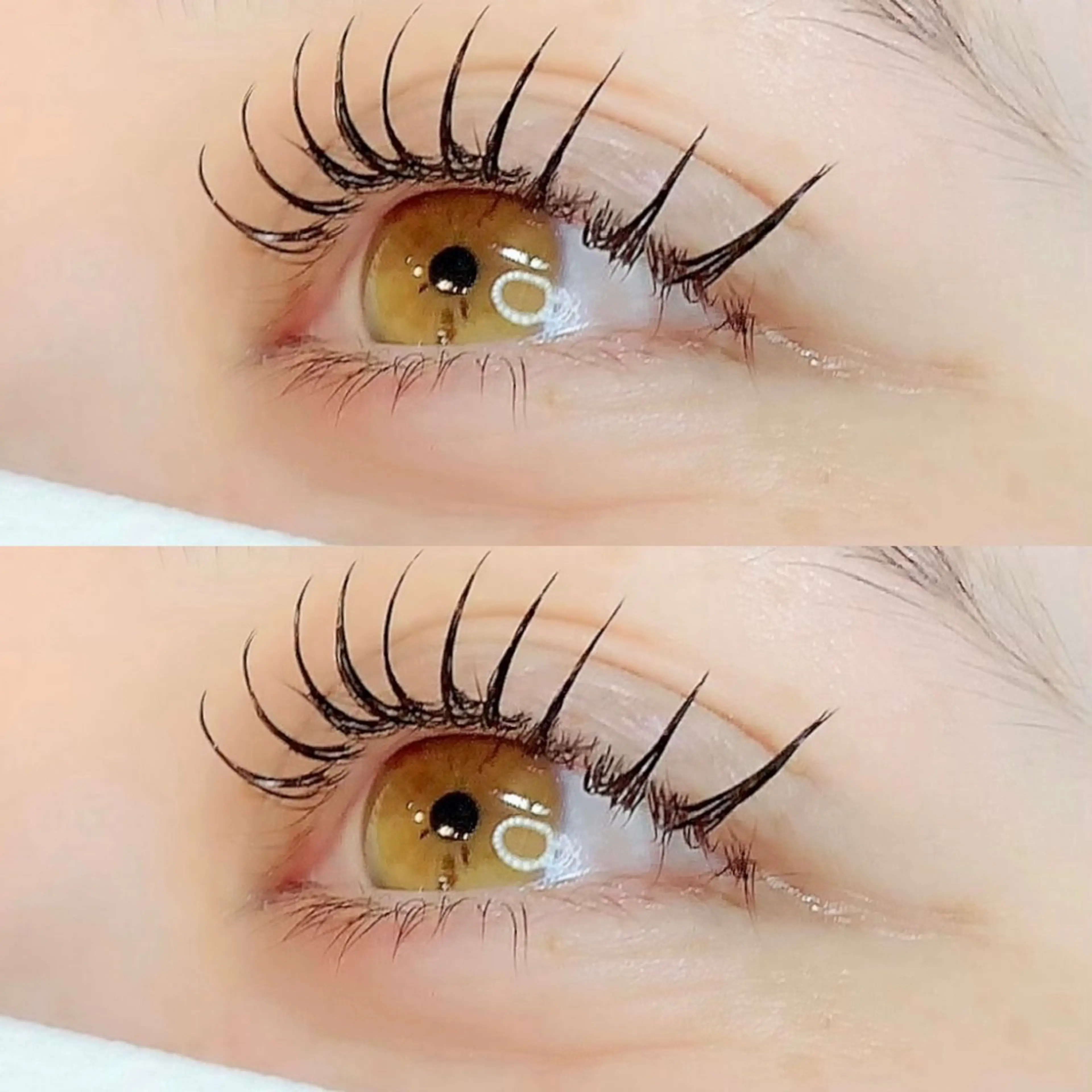 高持続・超軽量フラットラッシュ120本🌱(初回オフ無料)の写真