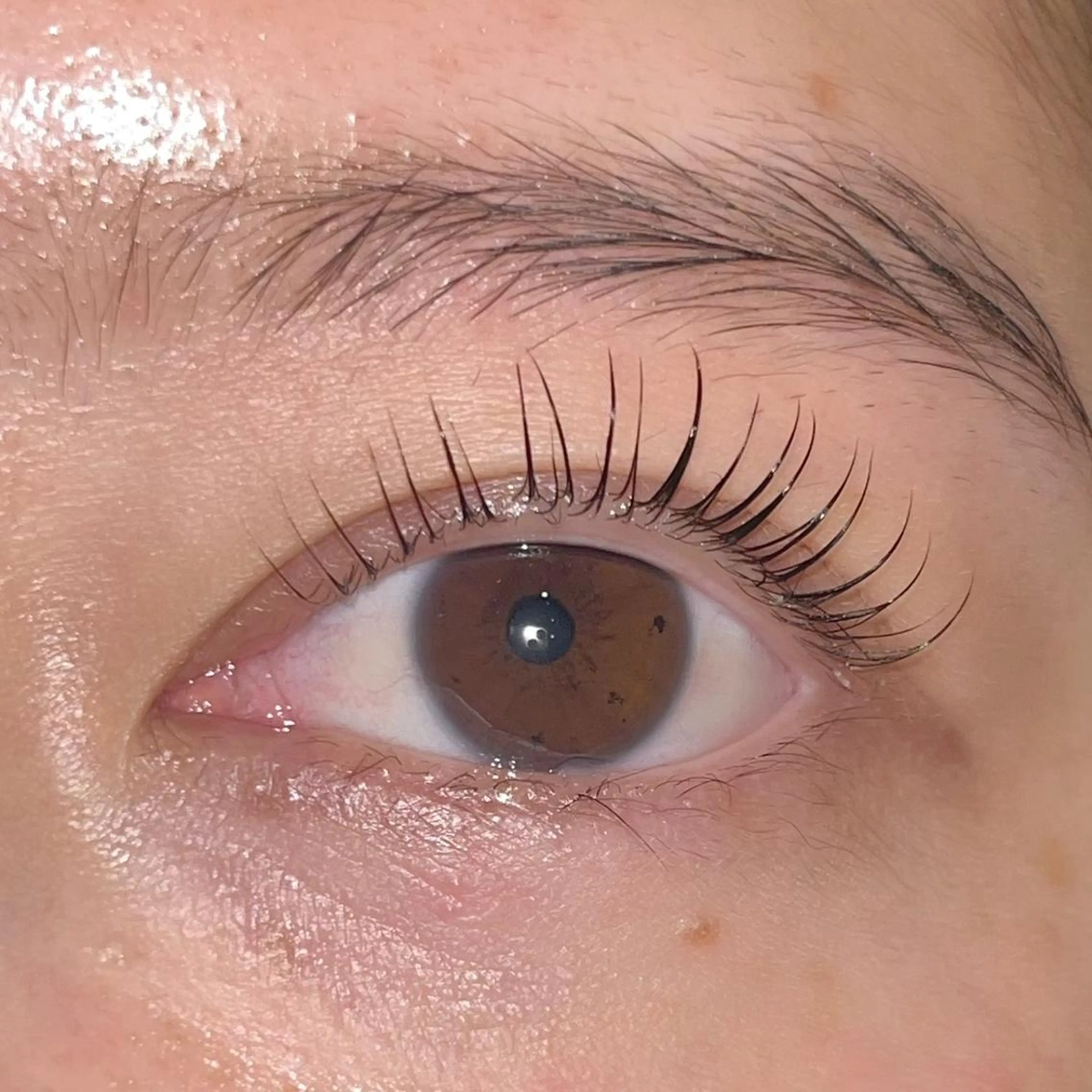 マツエク・マツパ パリジェンヌラッシュリフト まつげパーマ ai一重専門🎀束感 まつげ🫧表参道のマツエク・マツパデザイン