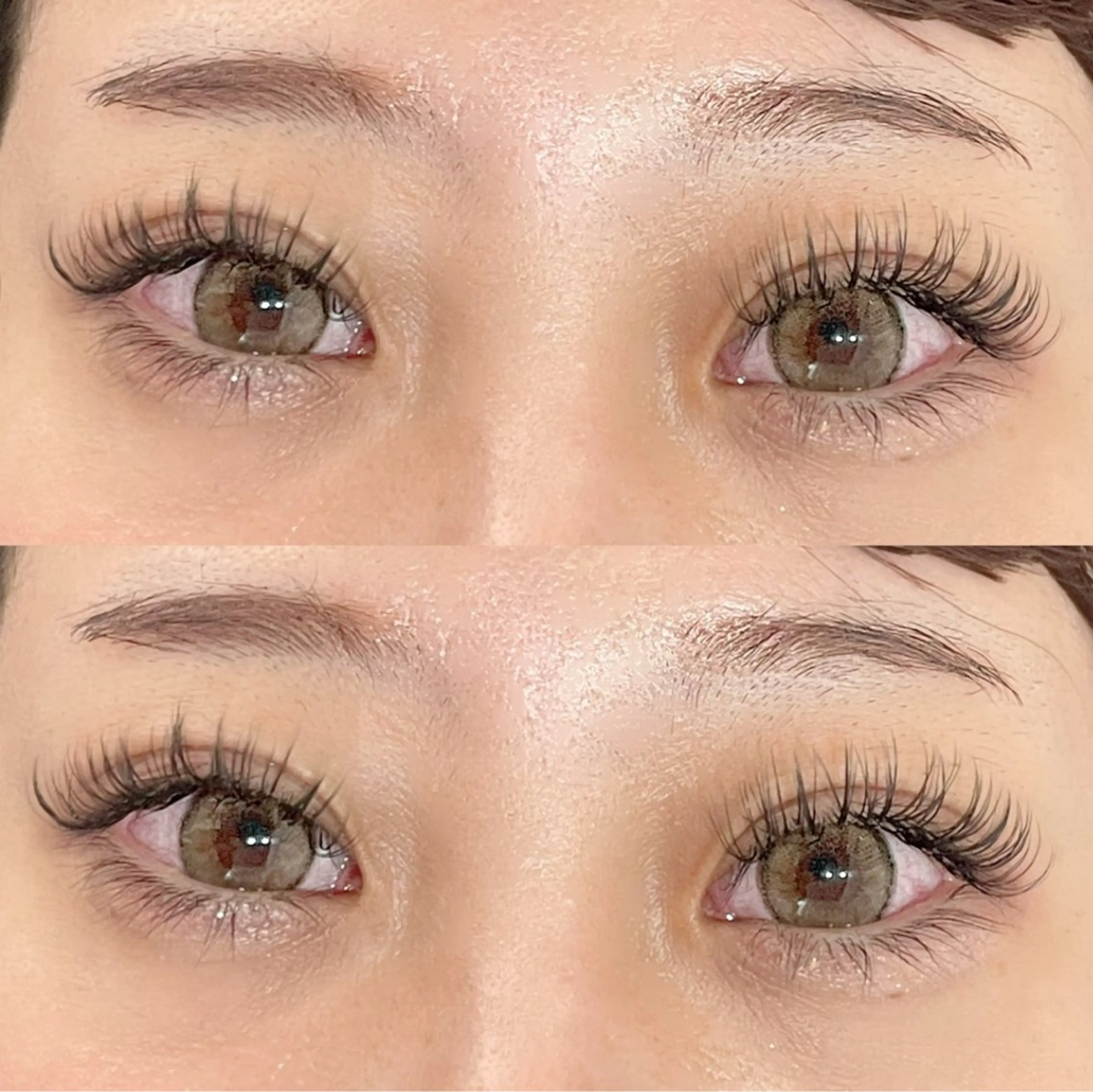 束感コーティング付き🌷ダブルフラットラッシュ🌷120分付け放題（~140束まで)の写真