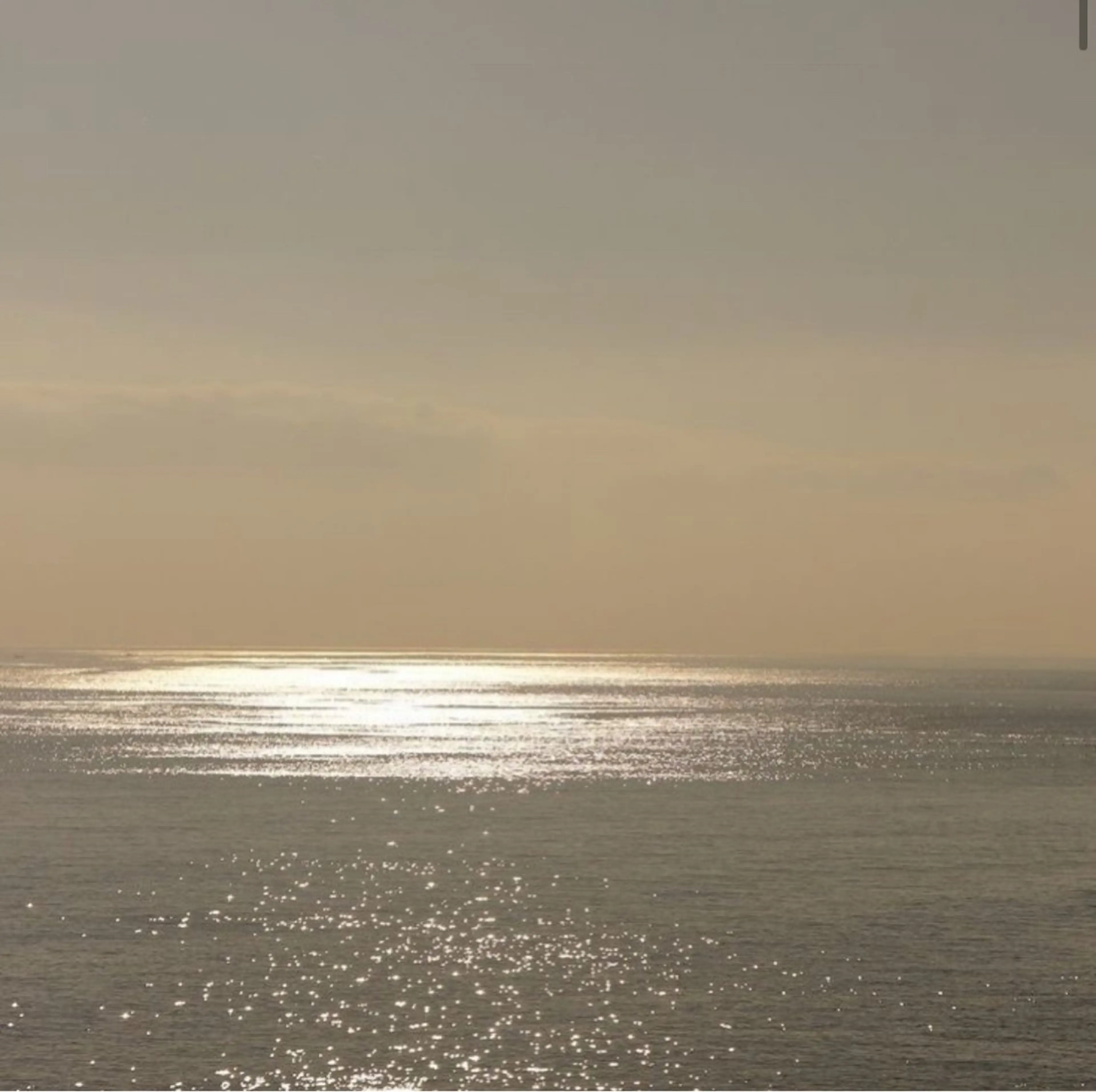 セミロング カラー カット ヘアカラー stylist 🌸 kana.のヘアスタイル