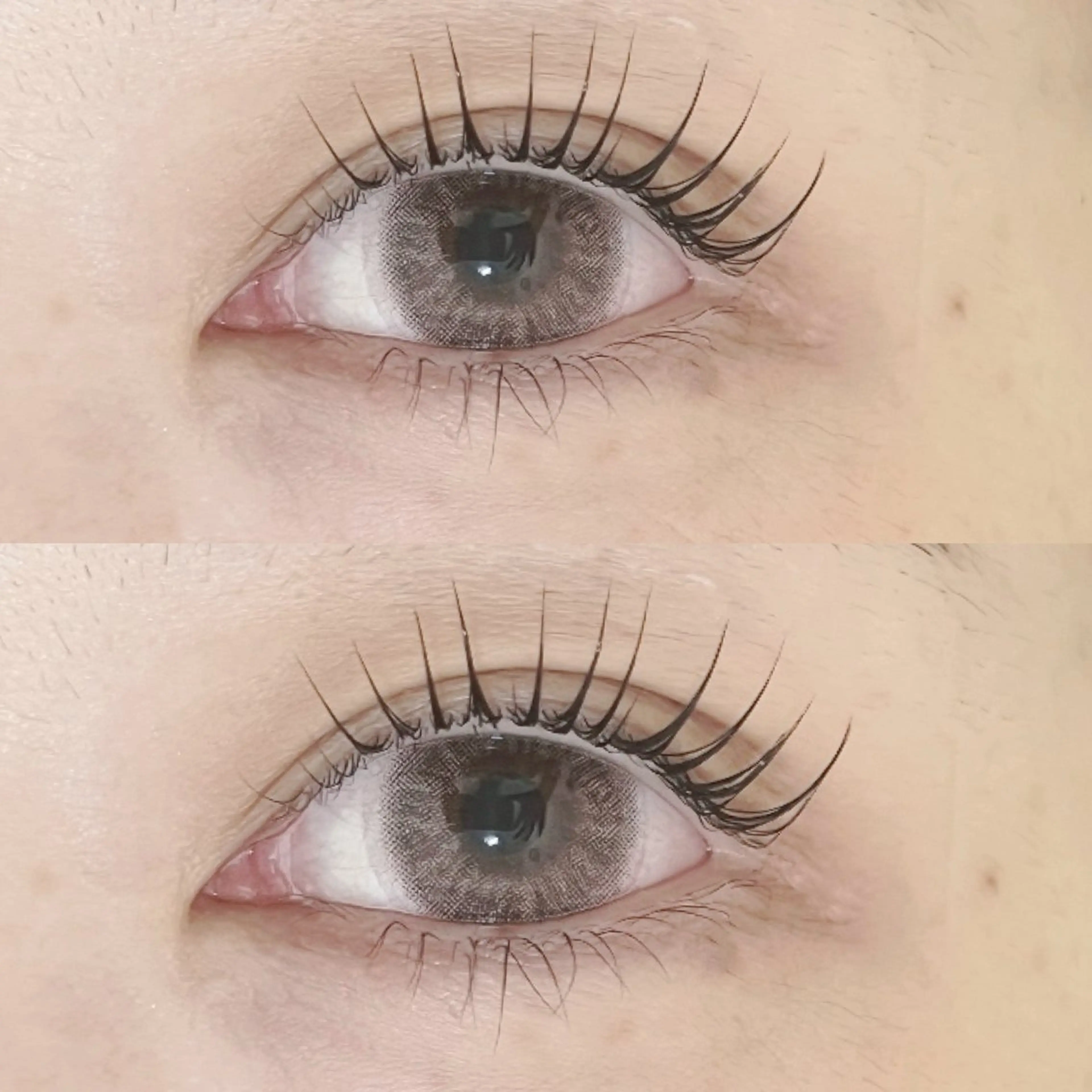 【新規🍓プレミアムラッシュリフトカール🍓（トリートメント付）】の写真