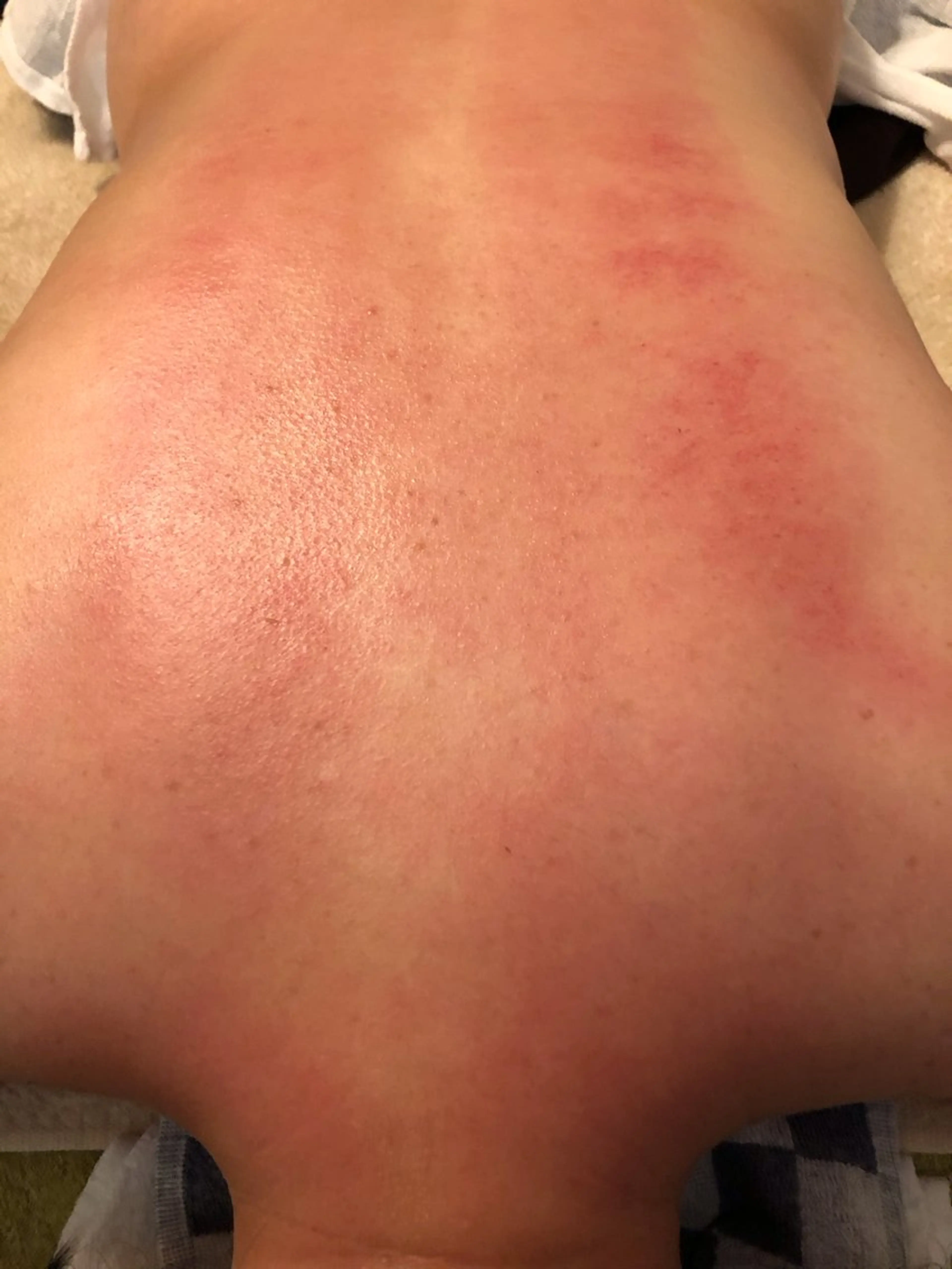 香りの家ローズマリー 🌿アロマリンパのエステ・リラクイメージ