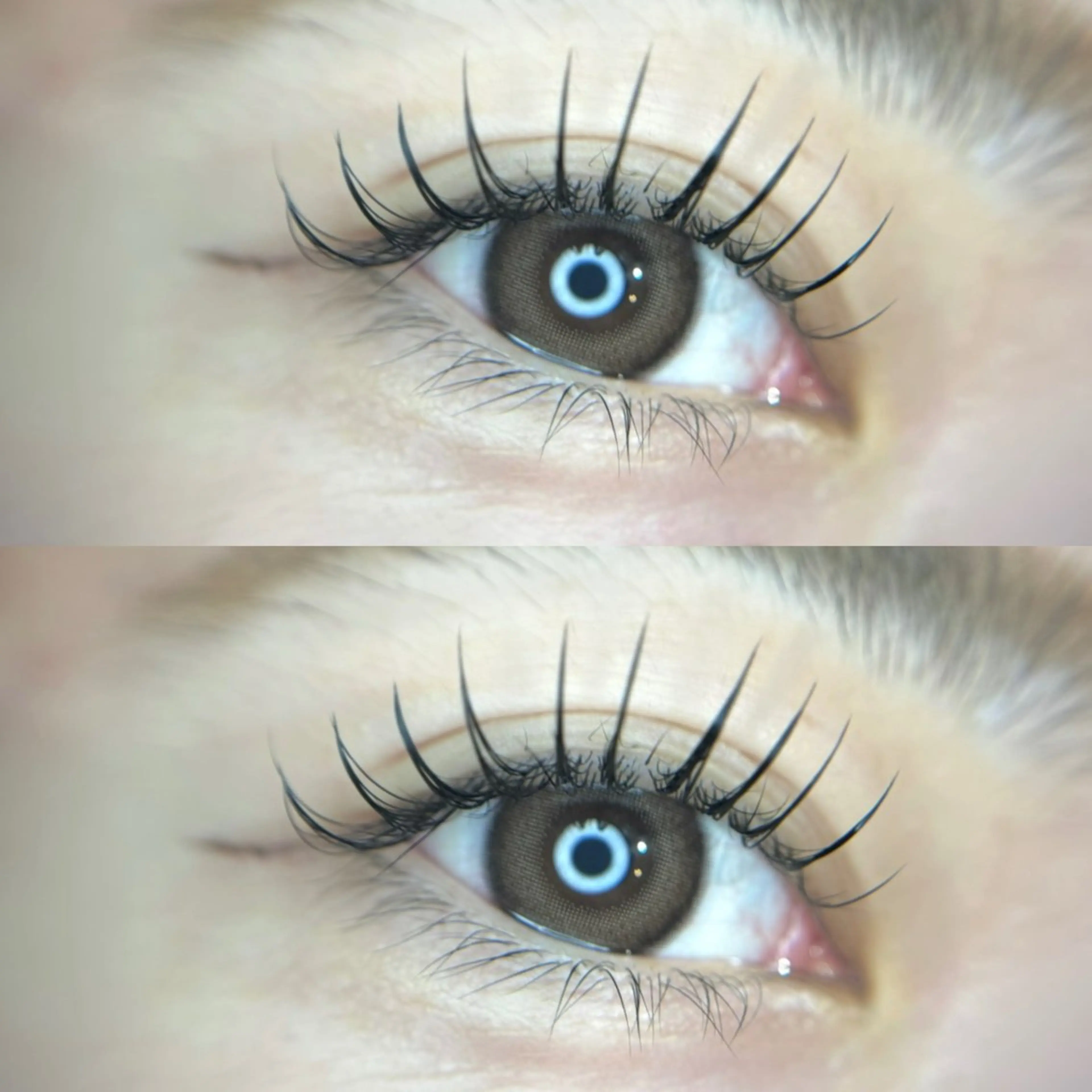 4/13ご来店限定♡パーフェクトラッシュ160本/フラットラッシュ120本の写真