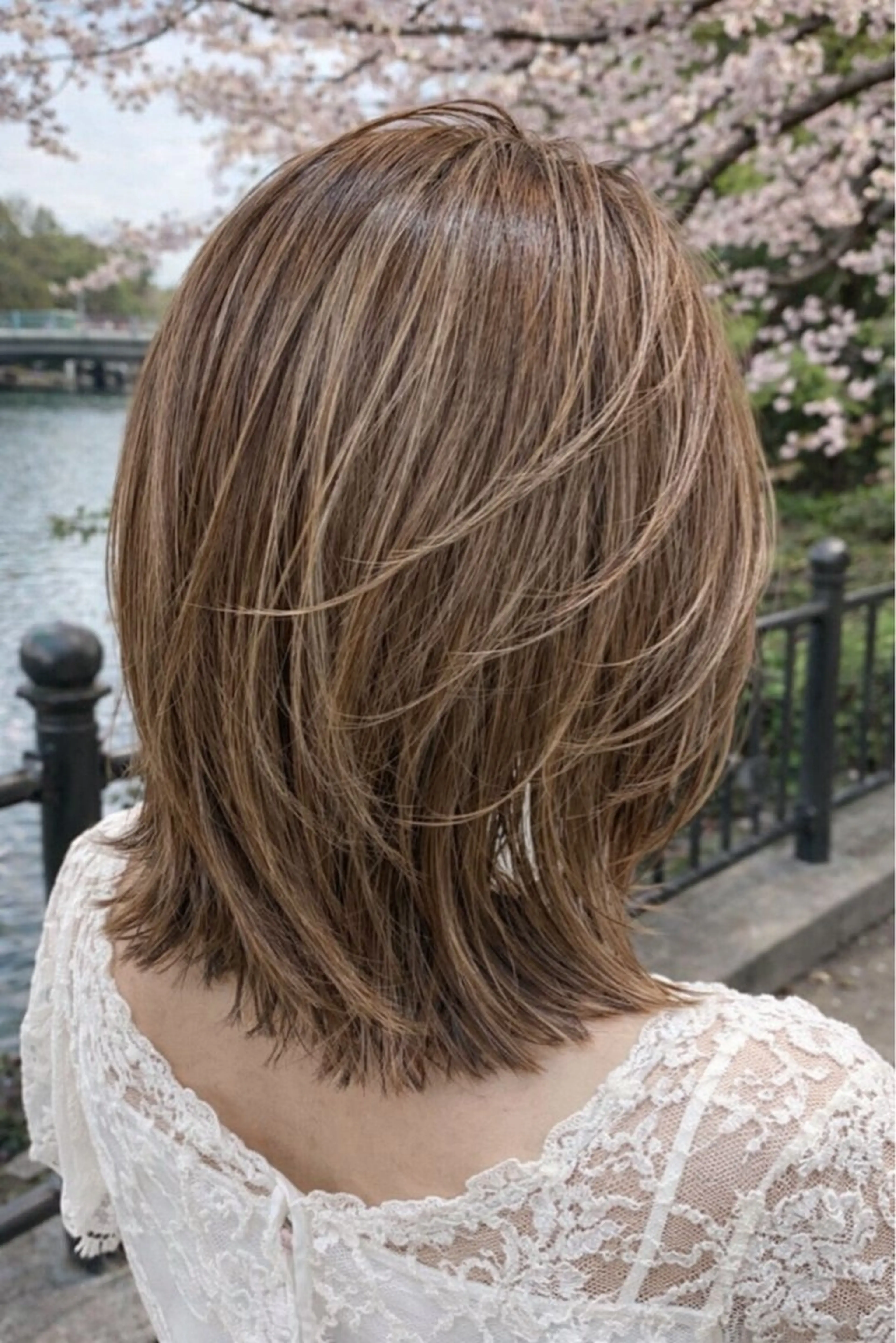 💜白髪ぼかしハイライト💜+髪質改善カラー+トリートメント(煌水込み)+✂️カット✂️の写真