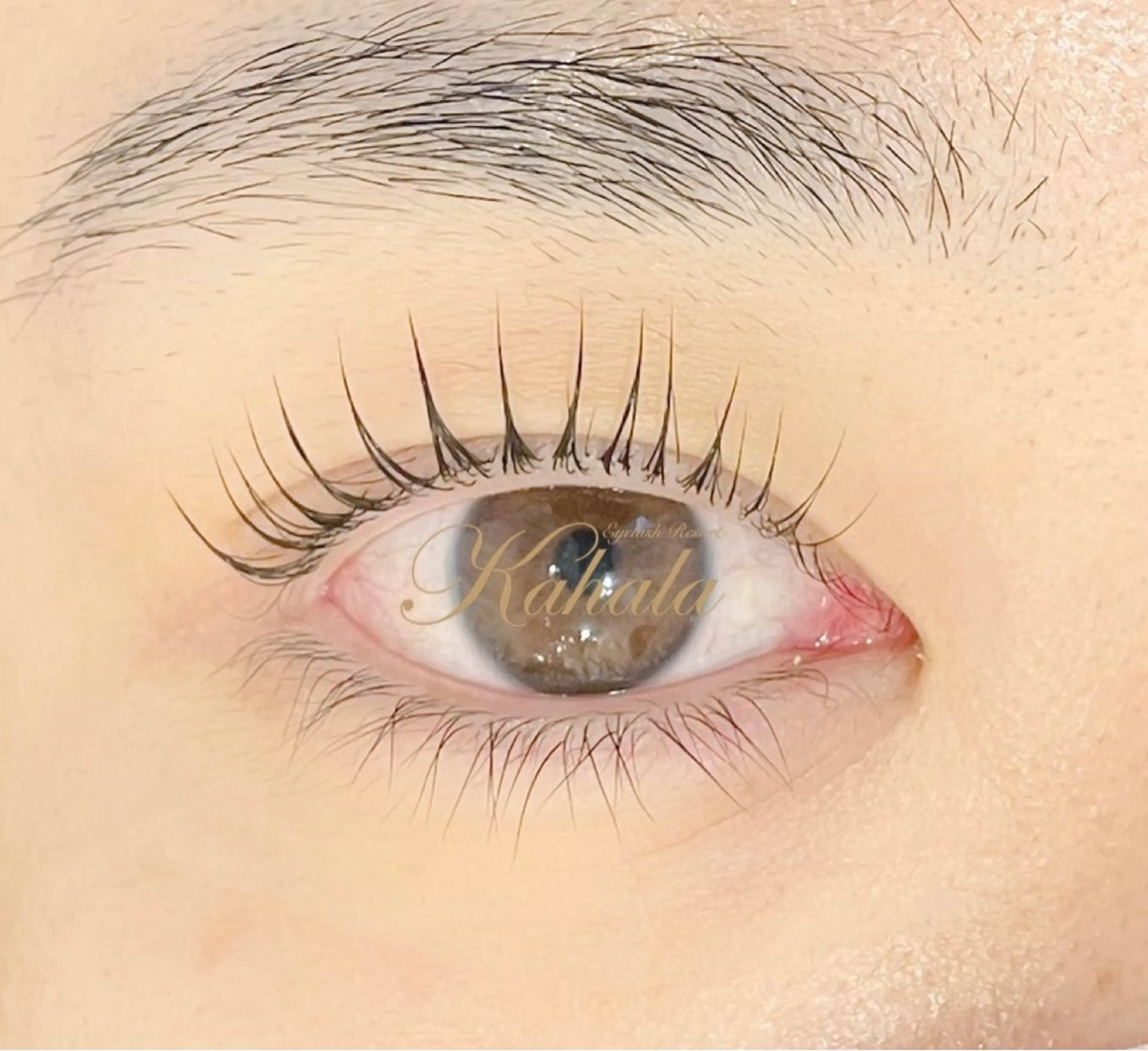 マツエク・マツパ パリジェンヌラッシュリフト まつげパーマ Kahala  大森 Kuroda🎶のマツエク・マツパデザイン