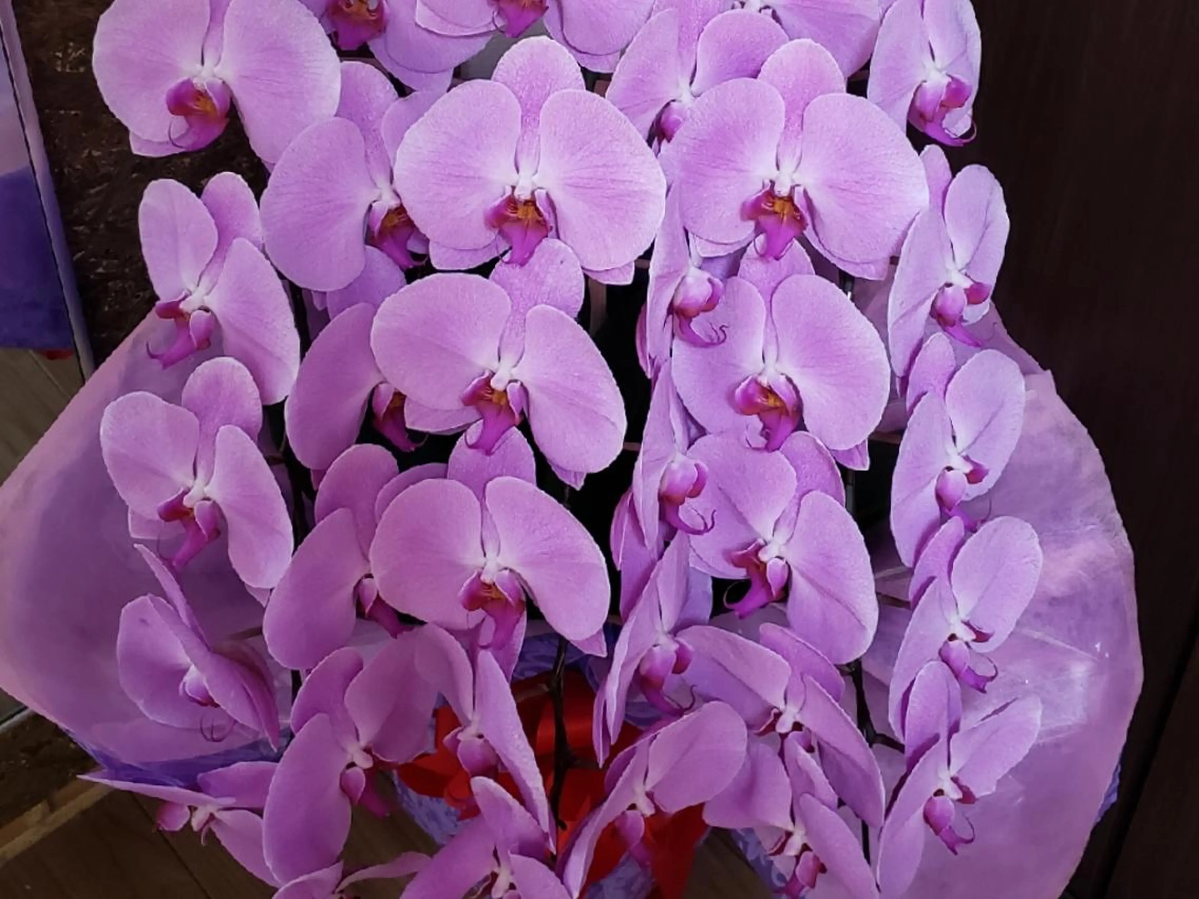 美容鍼×整体 かかずまさきのエステ・リラクイメージ