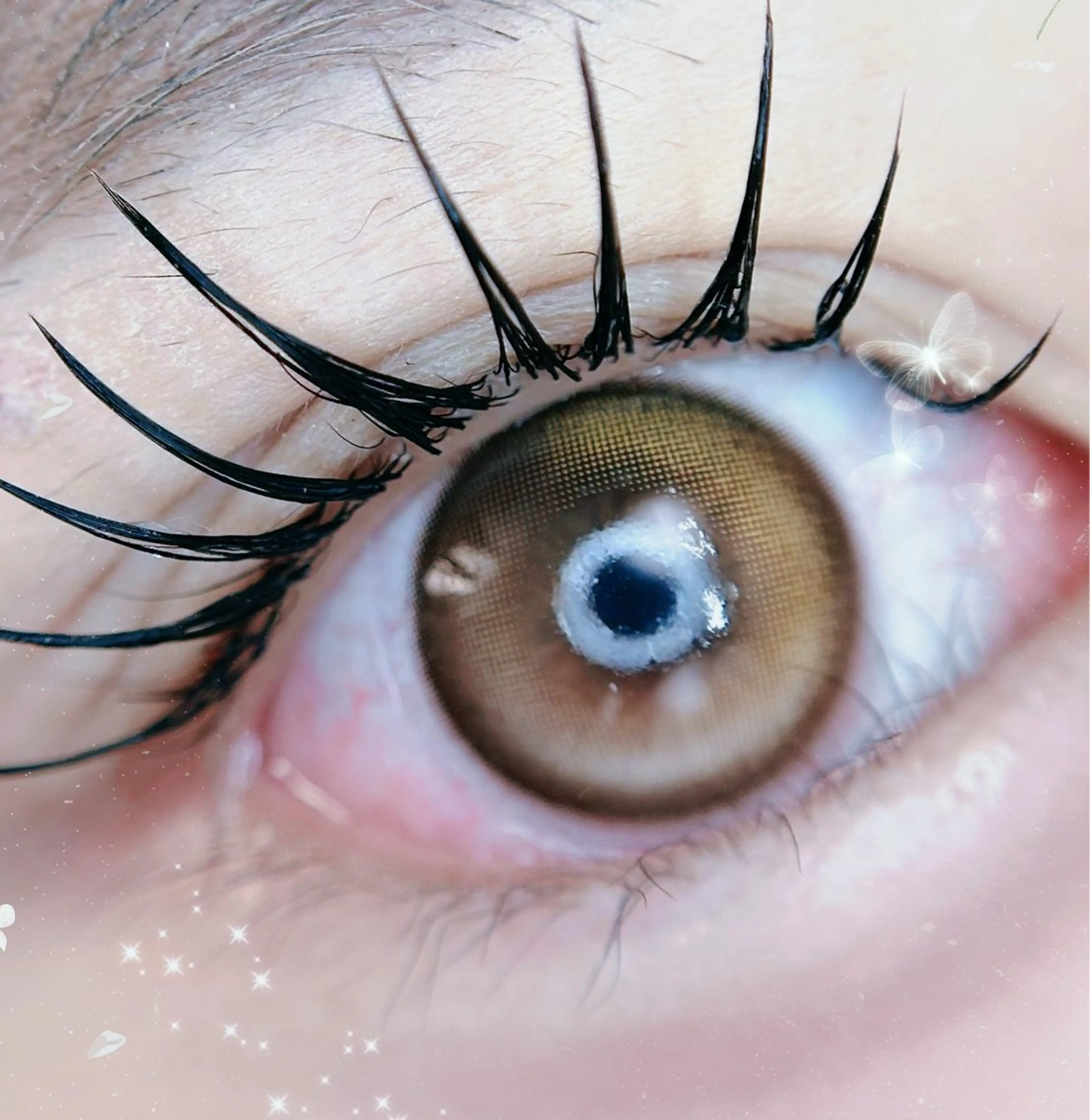 マツエク・マツパ マツエク 🎀eyelist. mizuki🐈‍⬛の眉毛・アイブロウイメージ