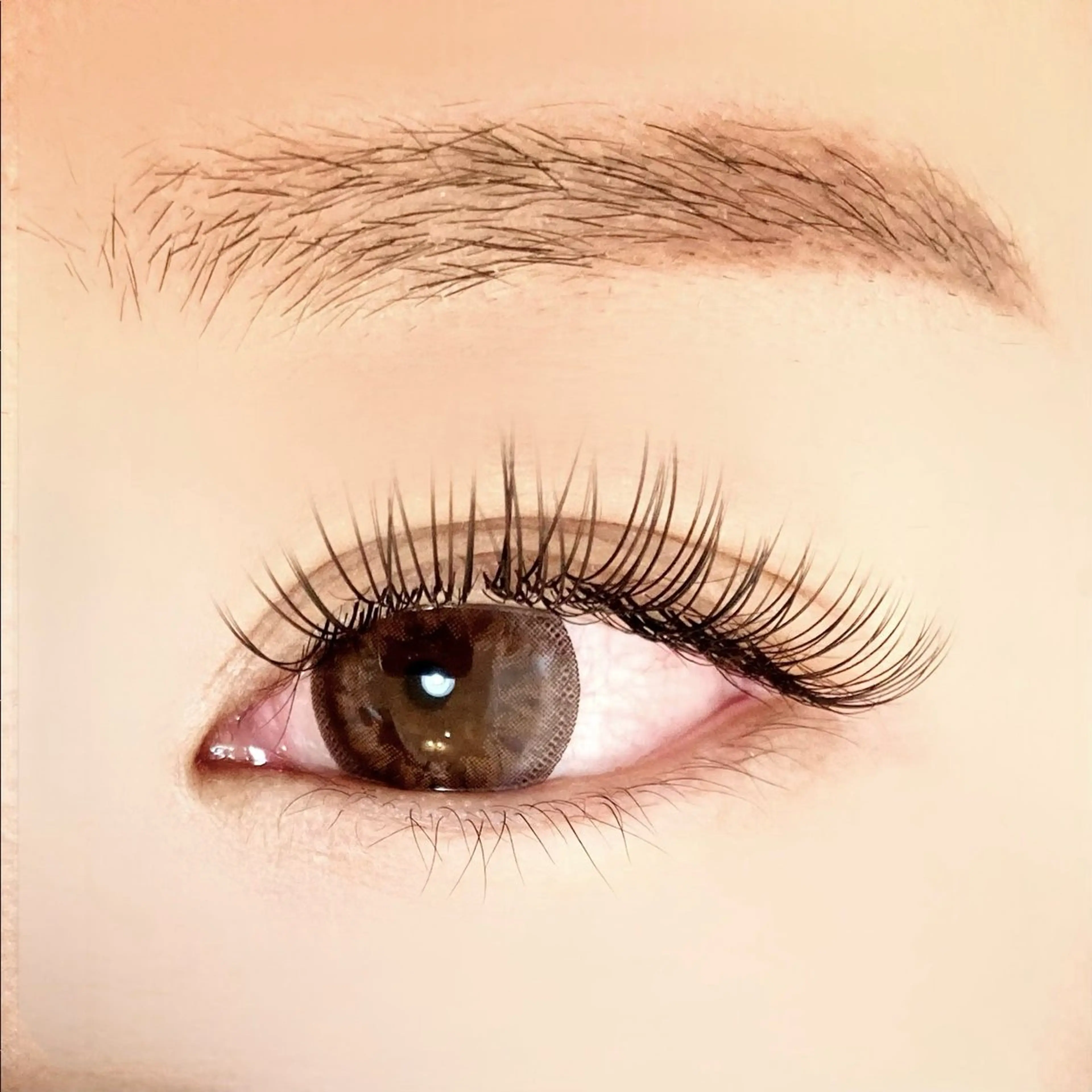 マツエク・マツパ フラットラッシュ LEDマツエク専門店 橋田さくらのマツエク・マツパデザイン