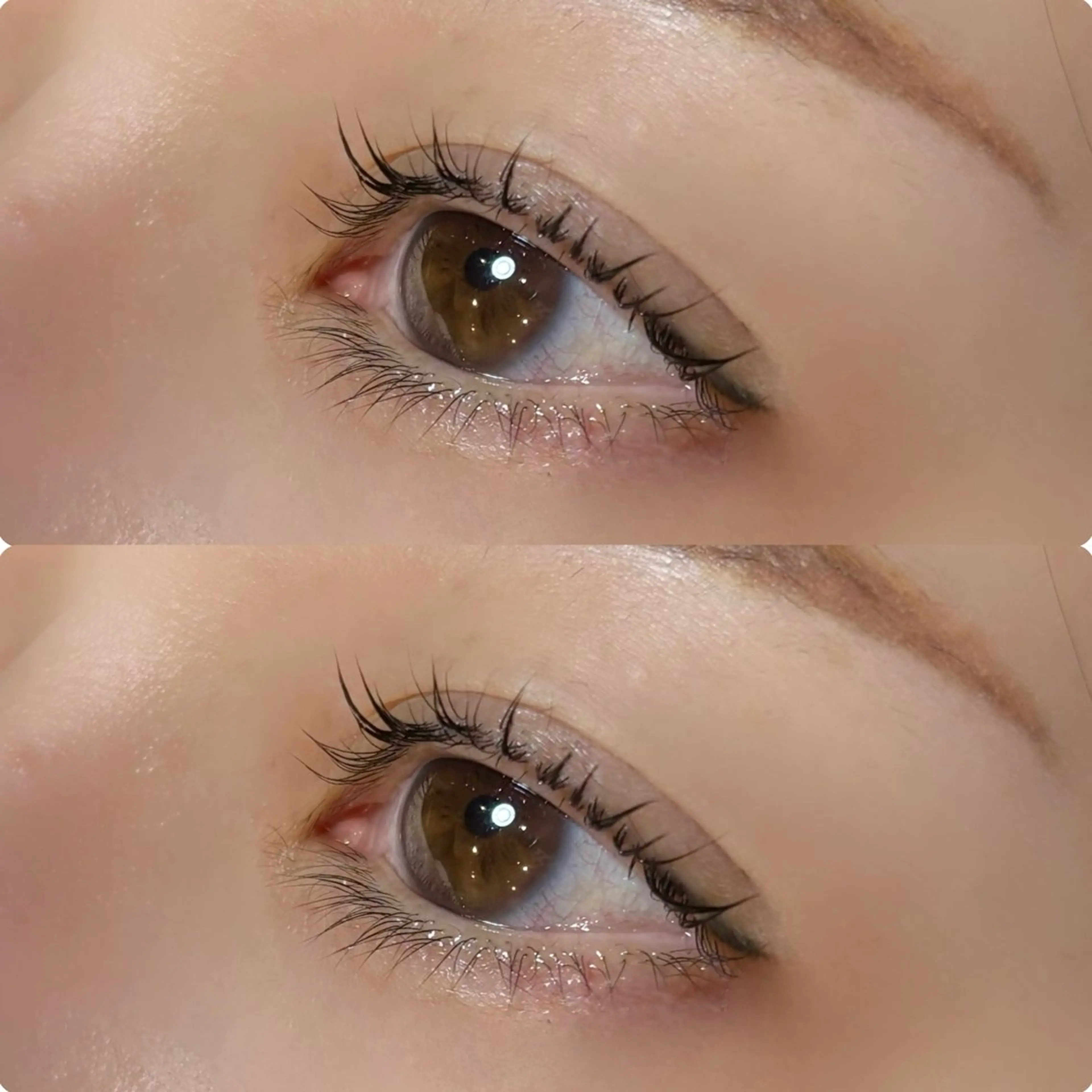 マツエク・マツパ meguru／マツパ ／マツエク／束感のマツエク・マツパデザイン