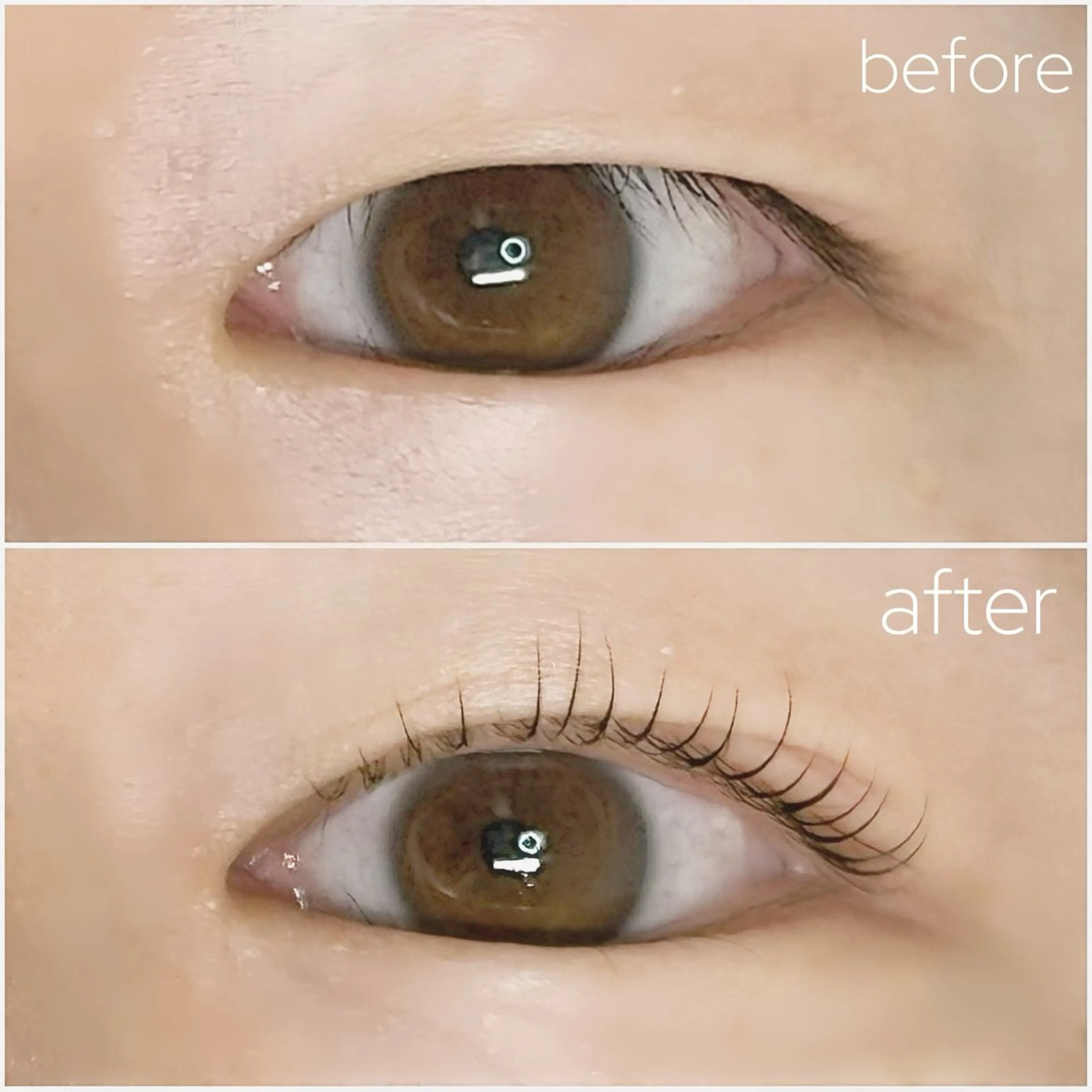 マツエク・マツパ 一重×まつ毛パーマ MAQUIA所沢店所属・MAQUIA所沢店 ERIのマツエク・マツパデザイン