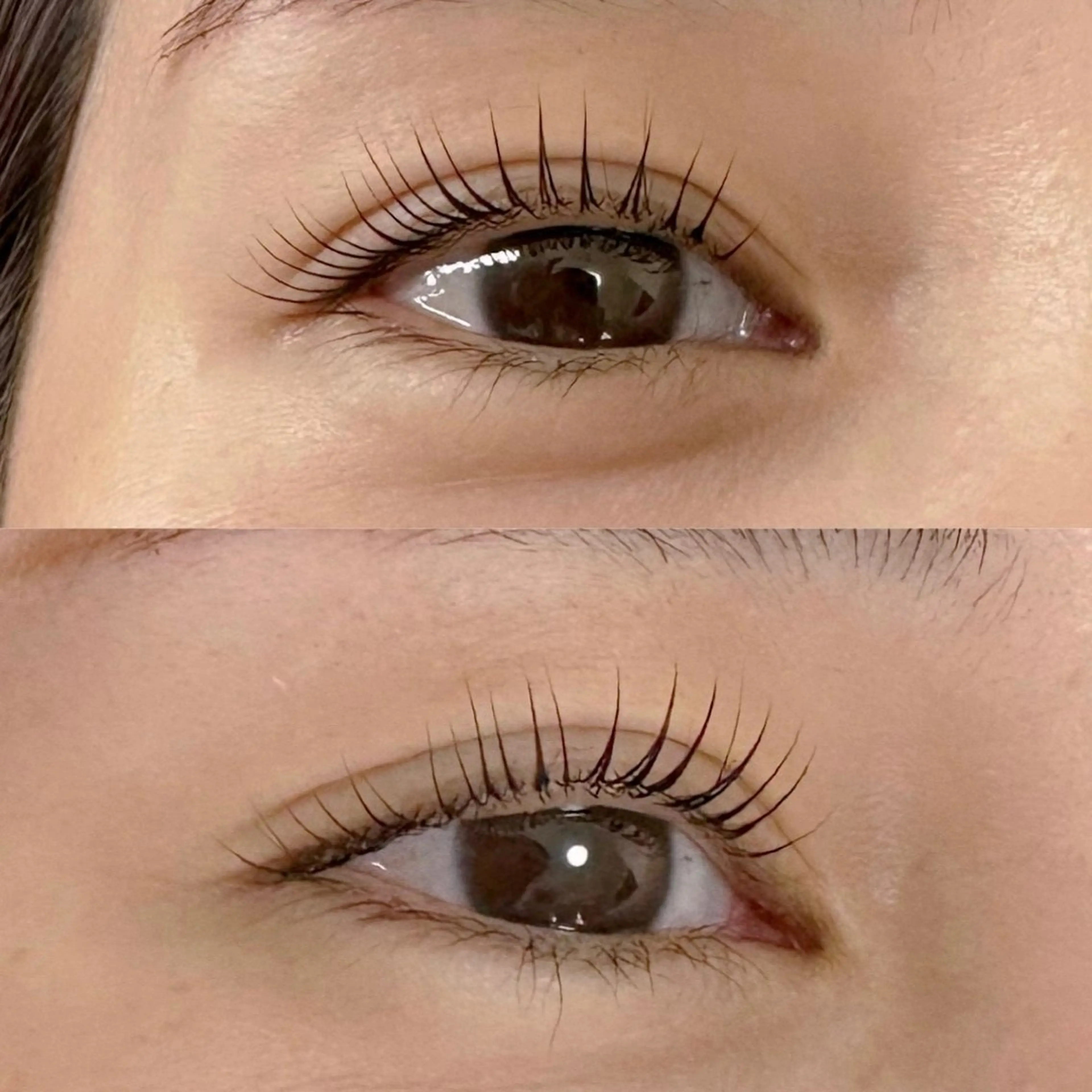 マツエク・マツパ chaleureux 【シャルルー】のマツエク・マツパデザイン