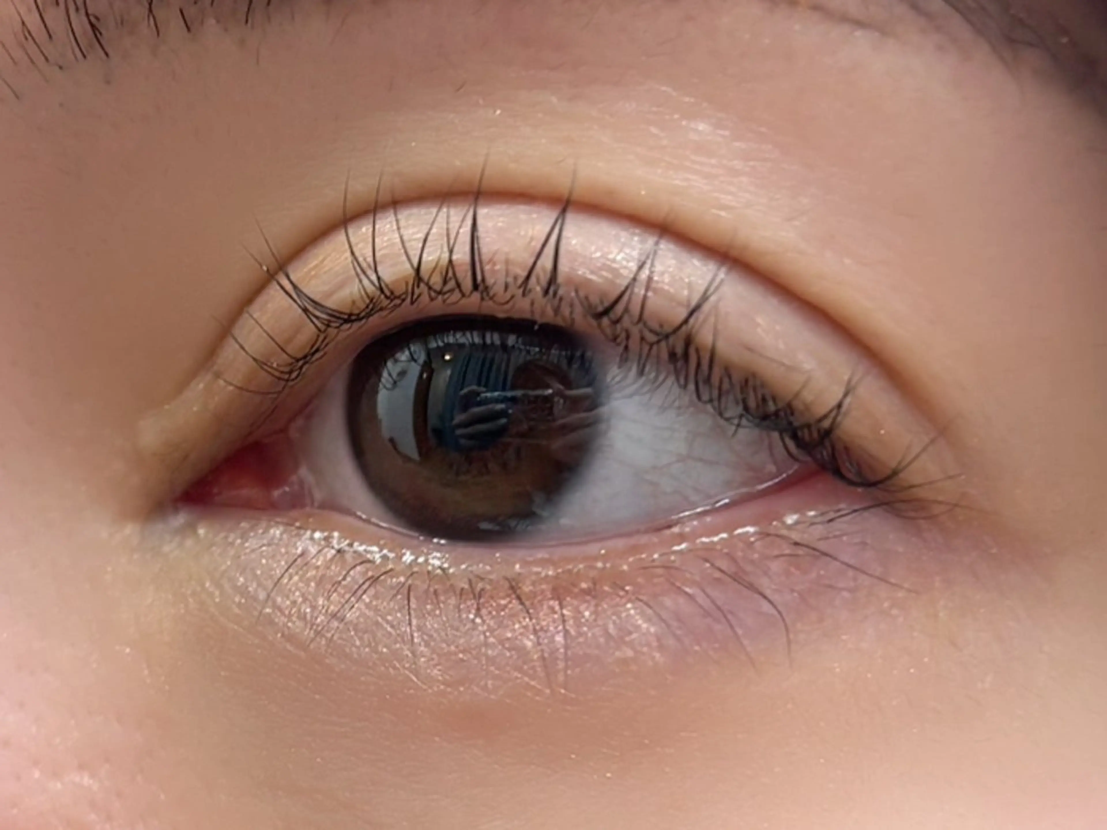 マツエク・マツパ ナチュラル 𝚒𝚔𝚞𝚖𝚒 🪽✧˖°.のマツエク・マツパデザイン