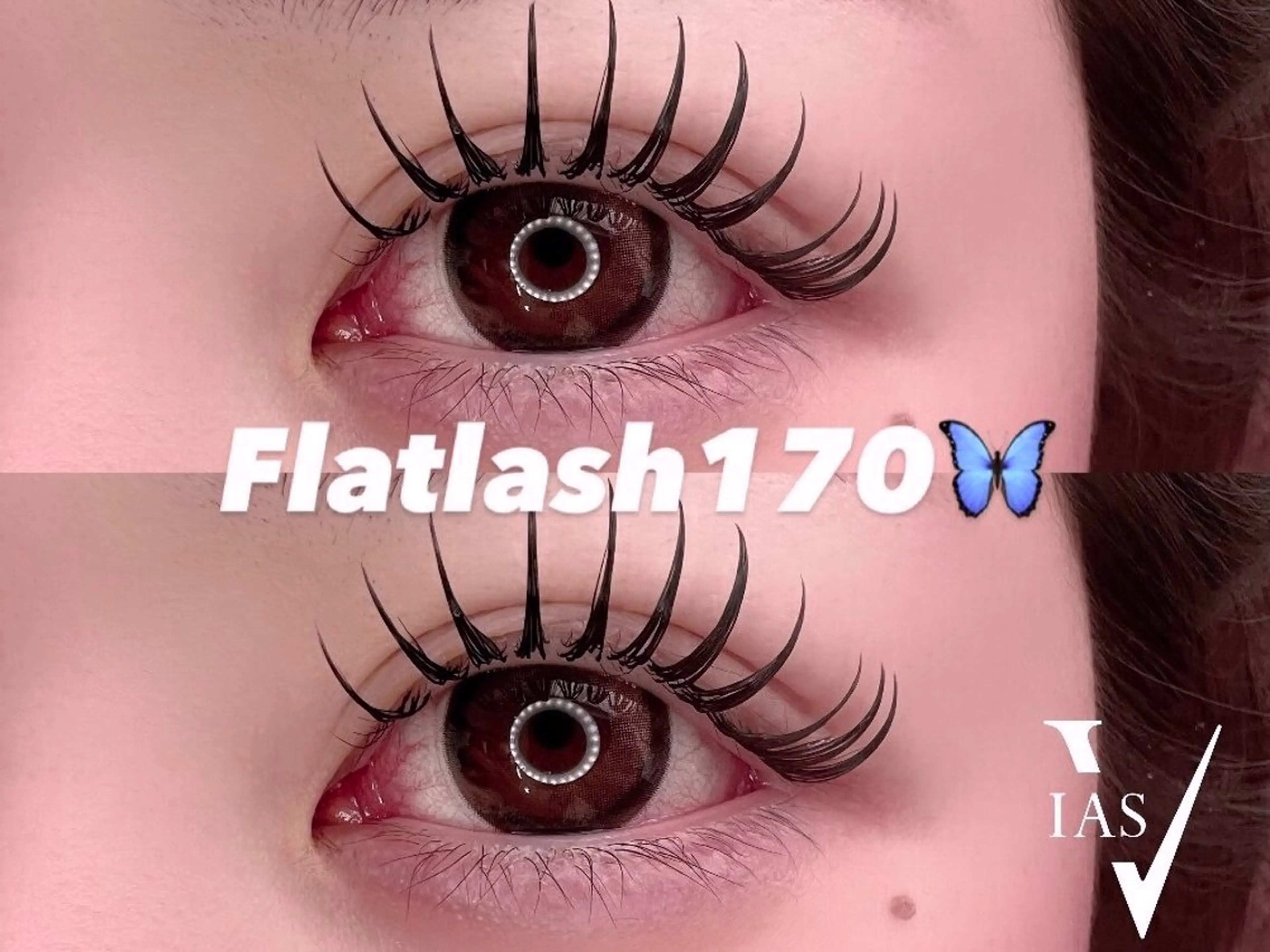 ❤︎フラットラッシュ170本 所用時間【75分】の写真