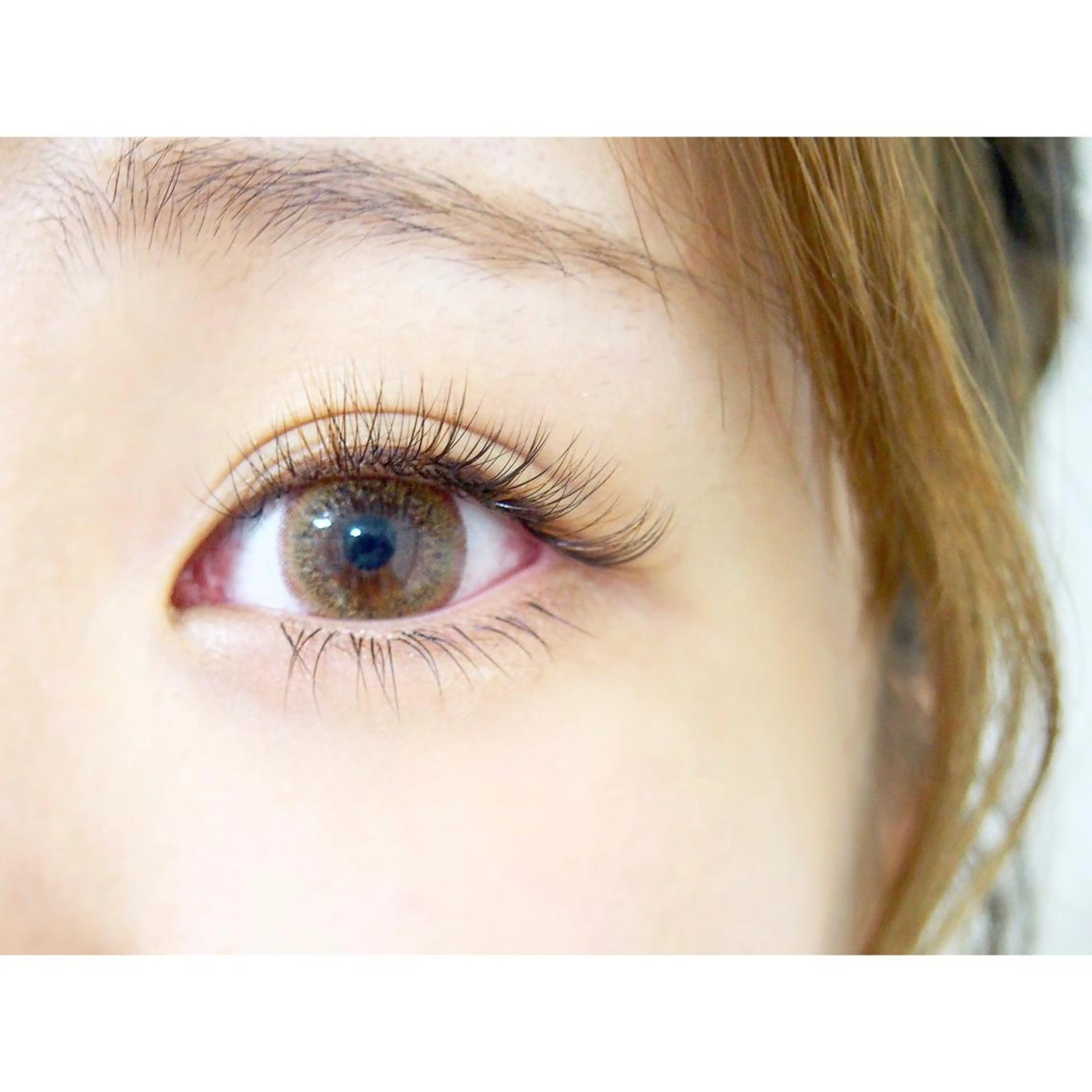 ⭐️下まつげエクステ/上限40本まで⭐️下まつげのみの場合4000円⭐️の写真