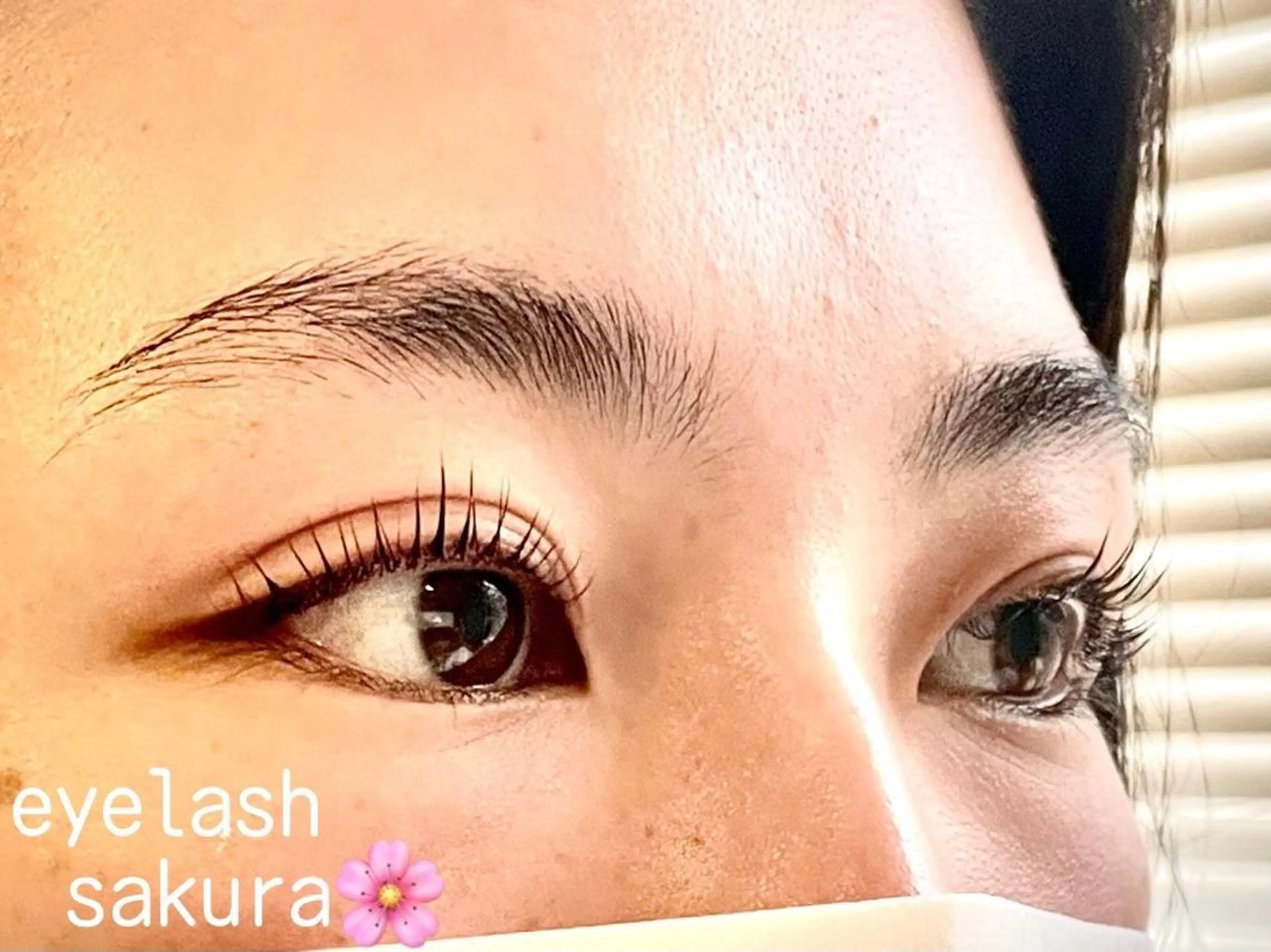 マツエク・マツパ マツパ eyelash salon　sakura所属・eyelash sakuraの眉毛・アイブロウイメージ