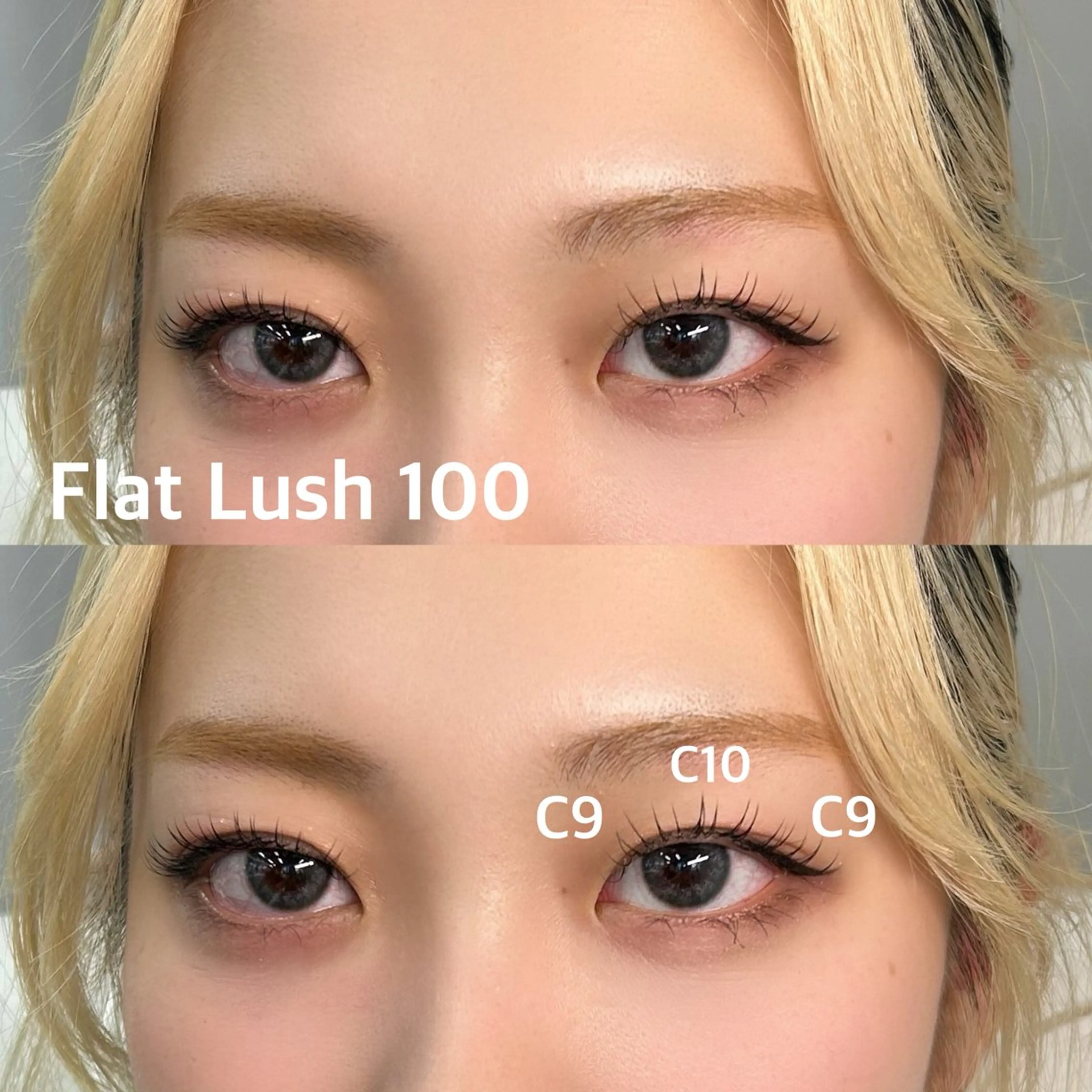 🌐【通常グルー】フラットラッシュ 100本 練習モデルの写真