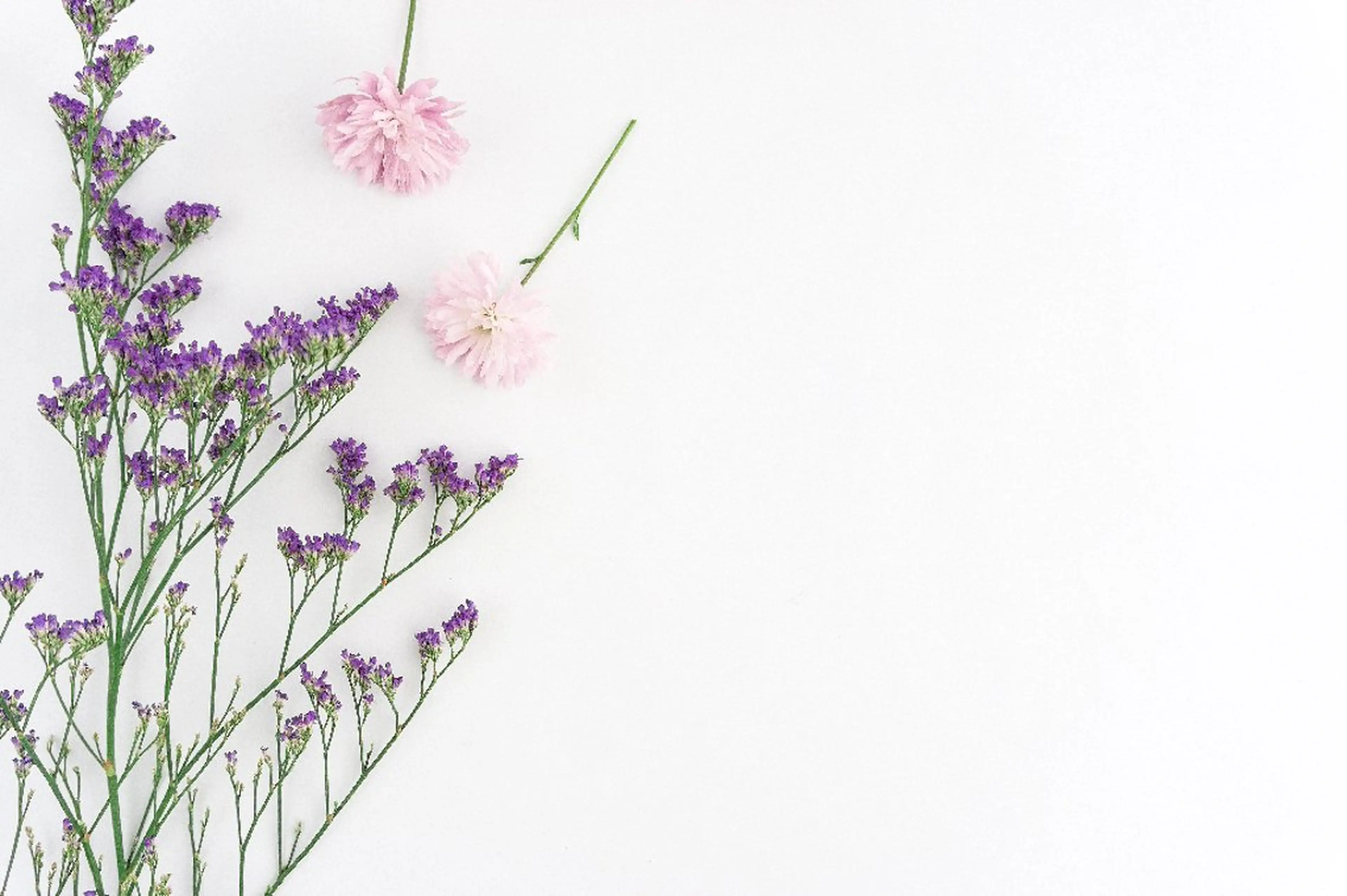 Nail salon　Rufu所属・Nail Salon  Rufu【ルフ】のネイルデザイン