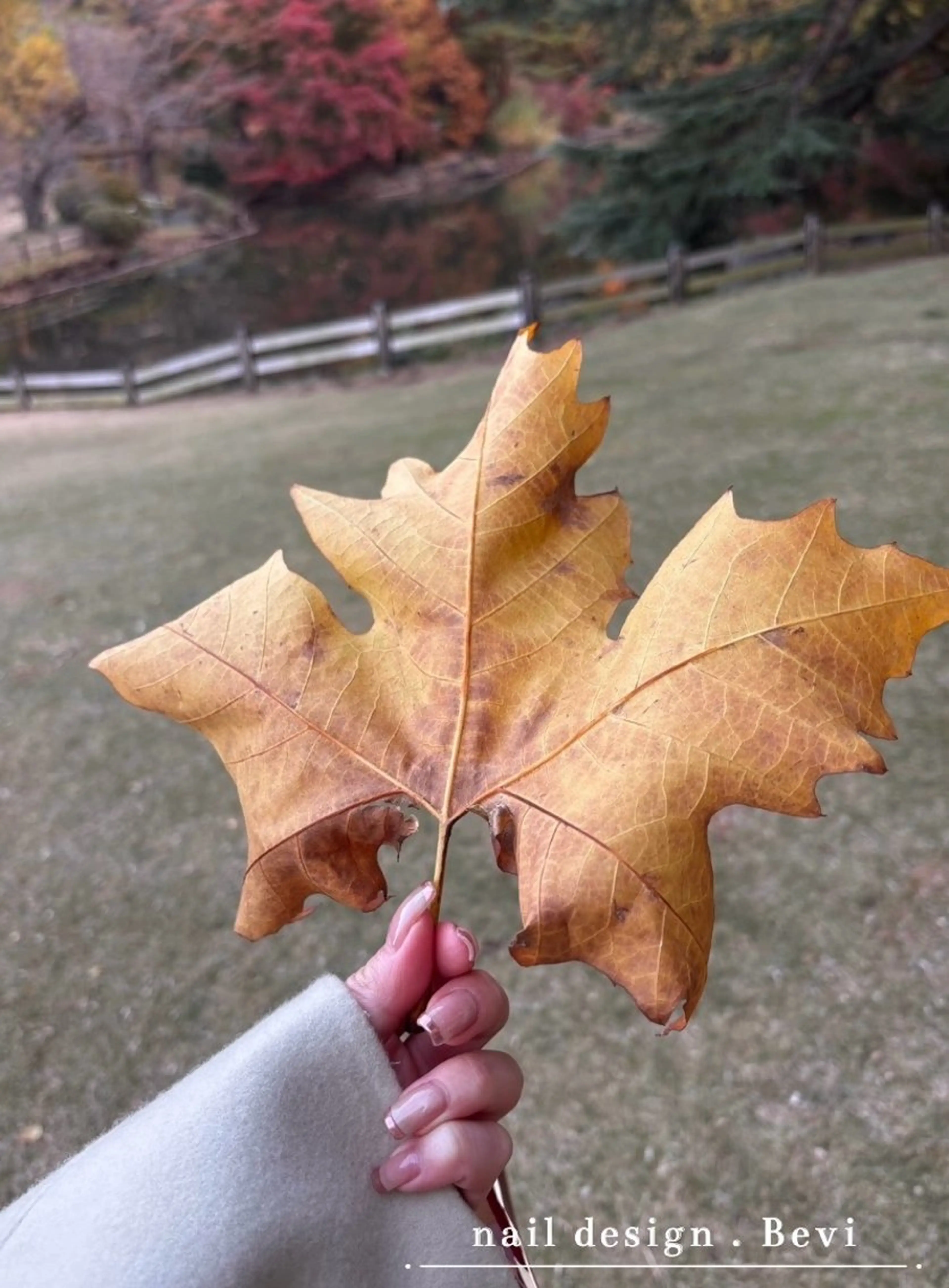 ネイル ハンドネイル Bevi salonのその他イメージ