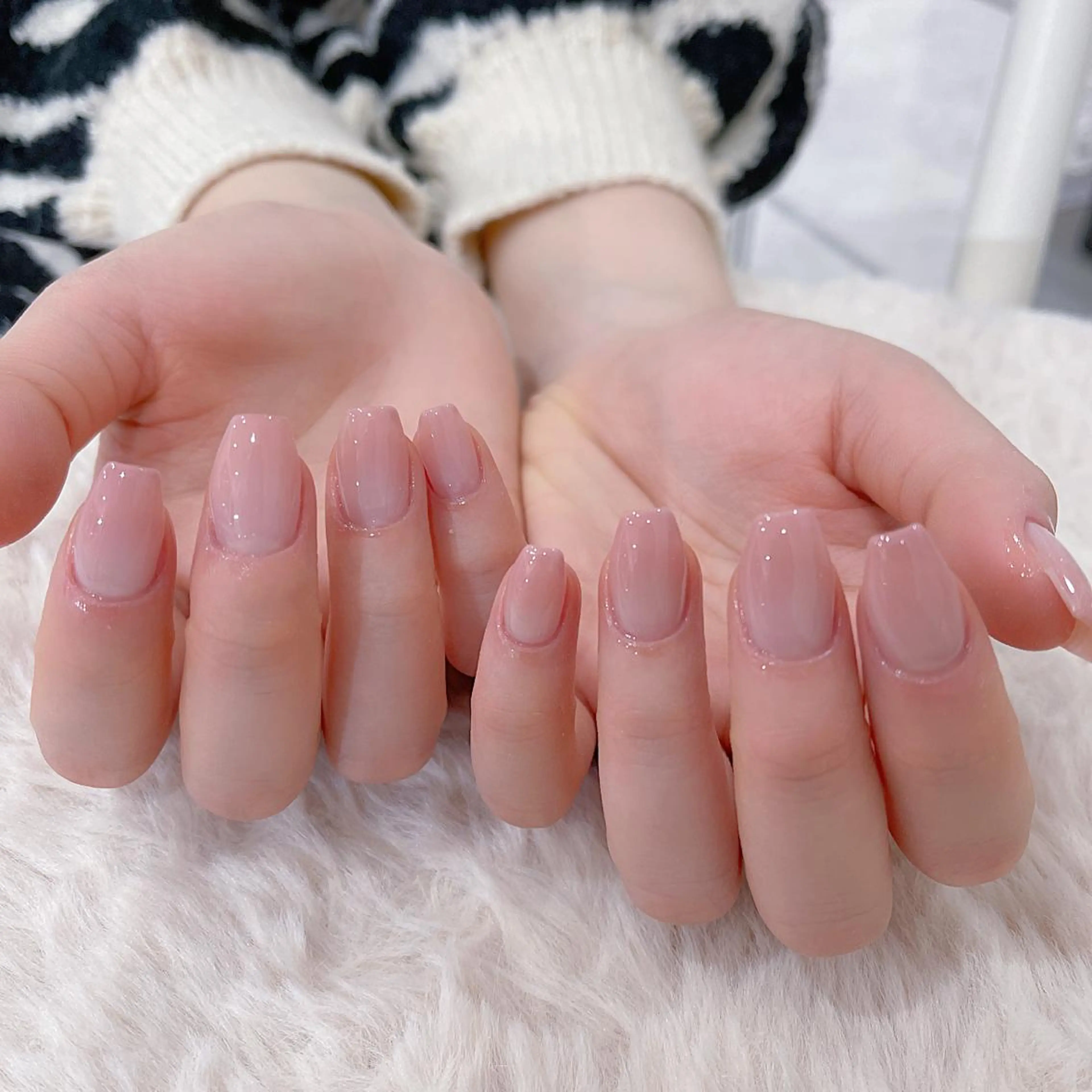 グラデーションの写真