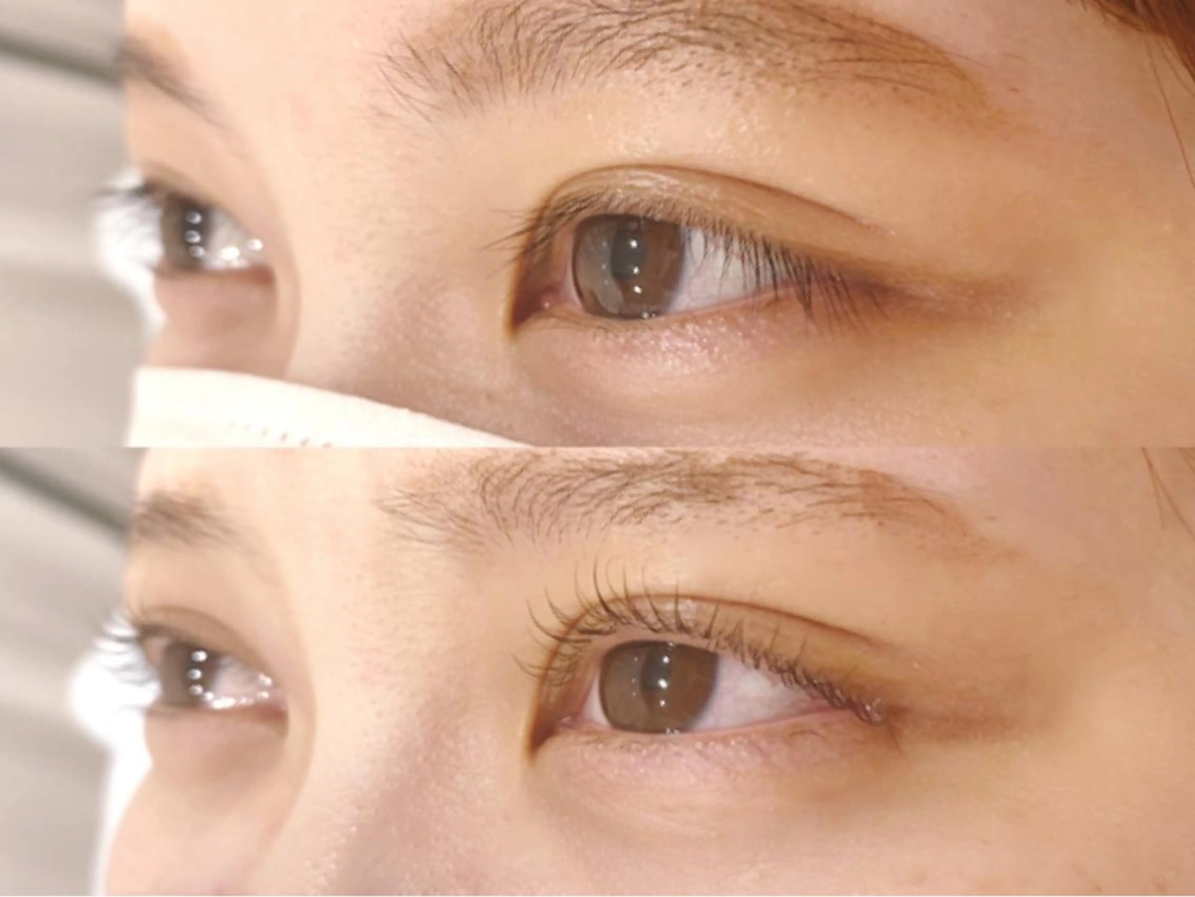 マツエク・マツパ Hera 👀アイラッシュのマツエク・マツパデザイン