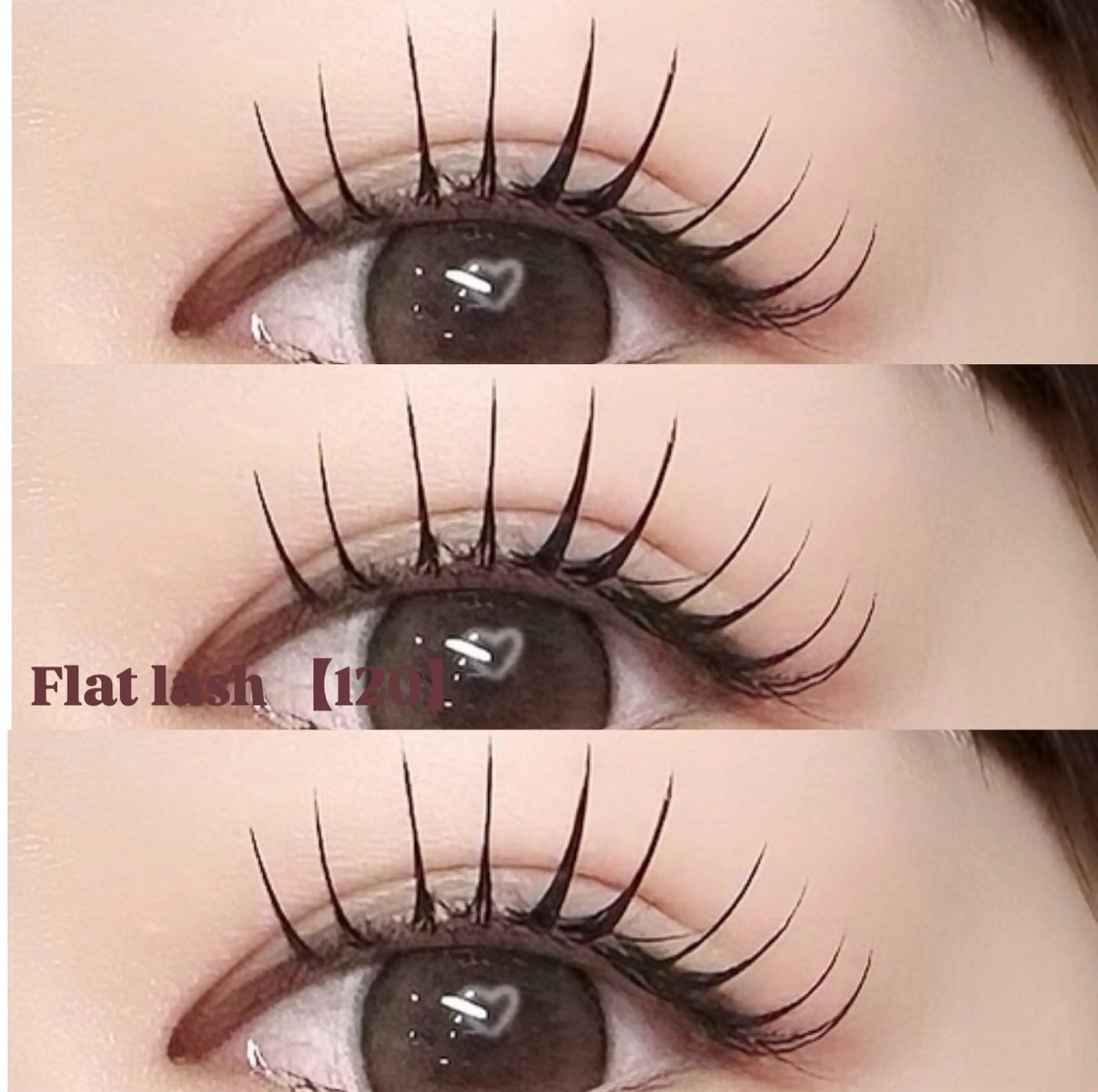 フラットラッシュ120本(オフ込)の写真