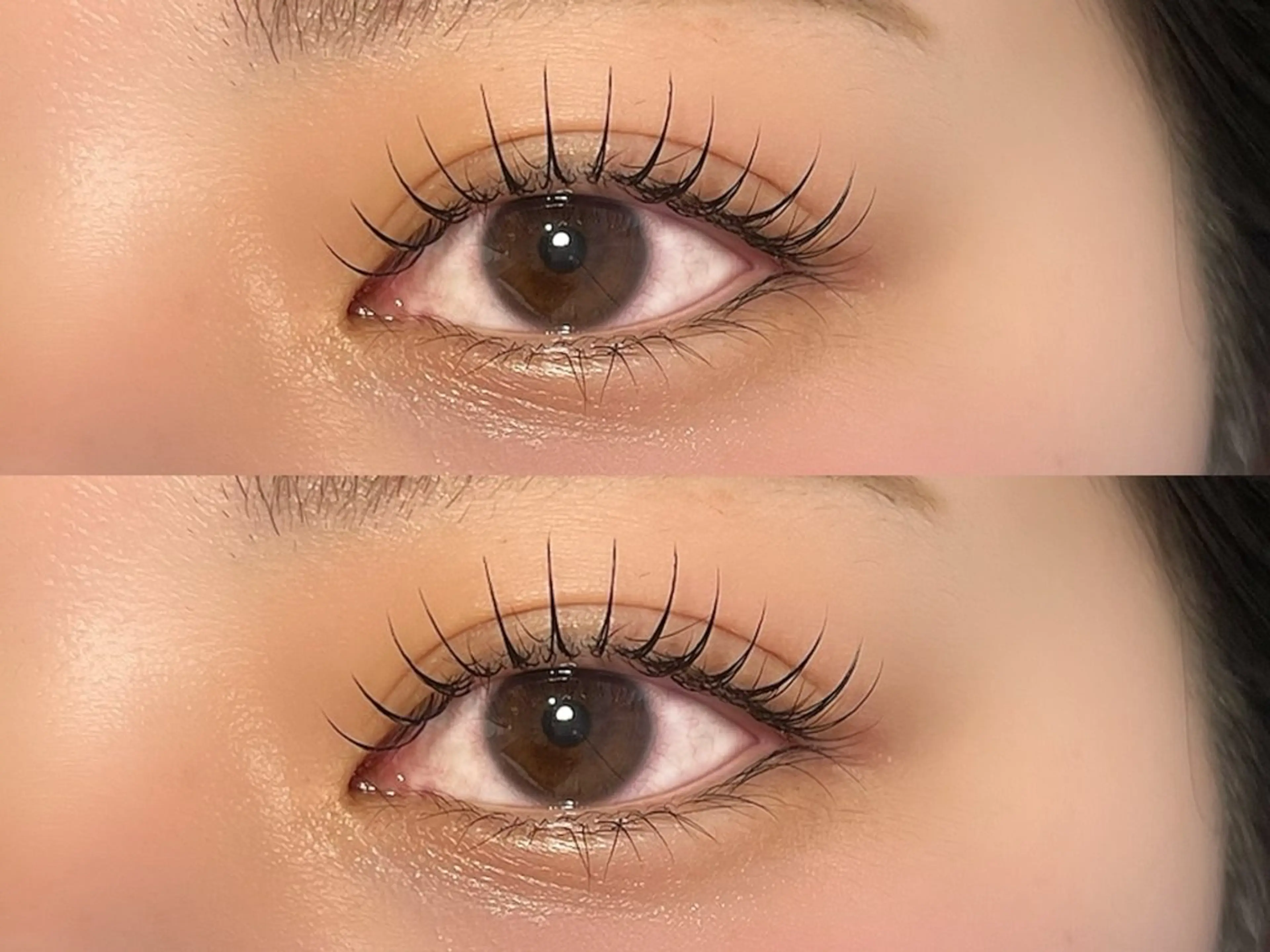 フラットラッシュ付け足し40本🌱の写真