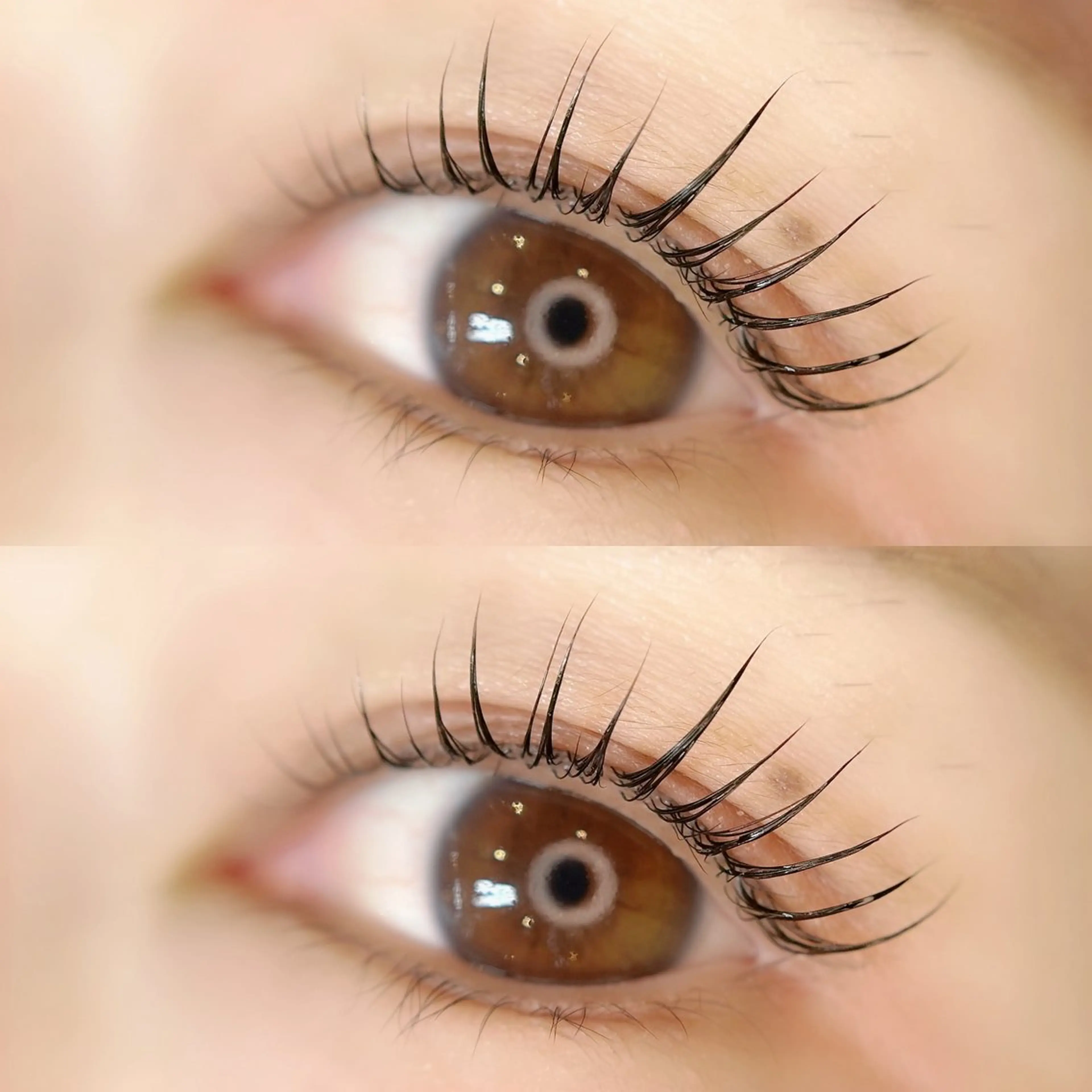 マツエク・マツパ マツパ 🦋MaaZ lash2🦋のエステ・リラクイメージ