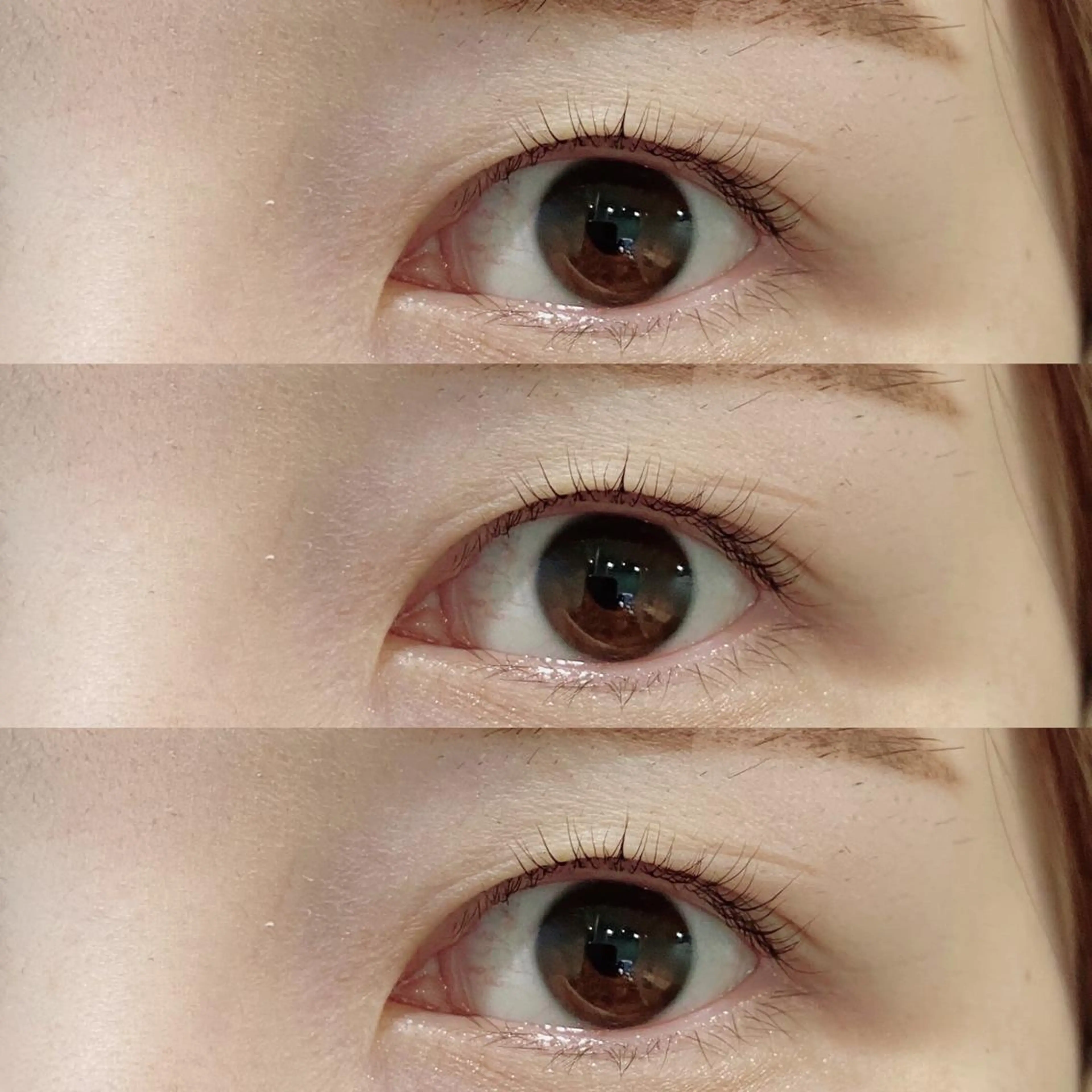 マツエク・マツパ パリジェンヌラッシュリフト Bianca 長津田店　長牛の眉毛・アイブロウイメージ