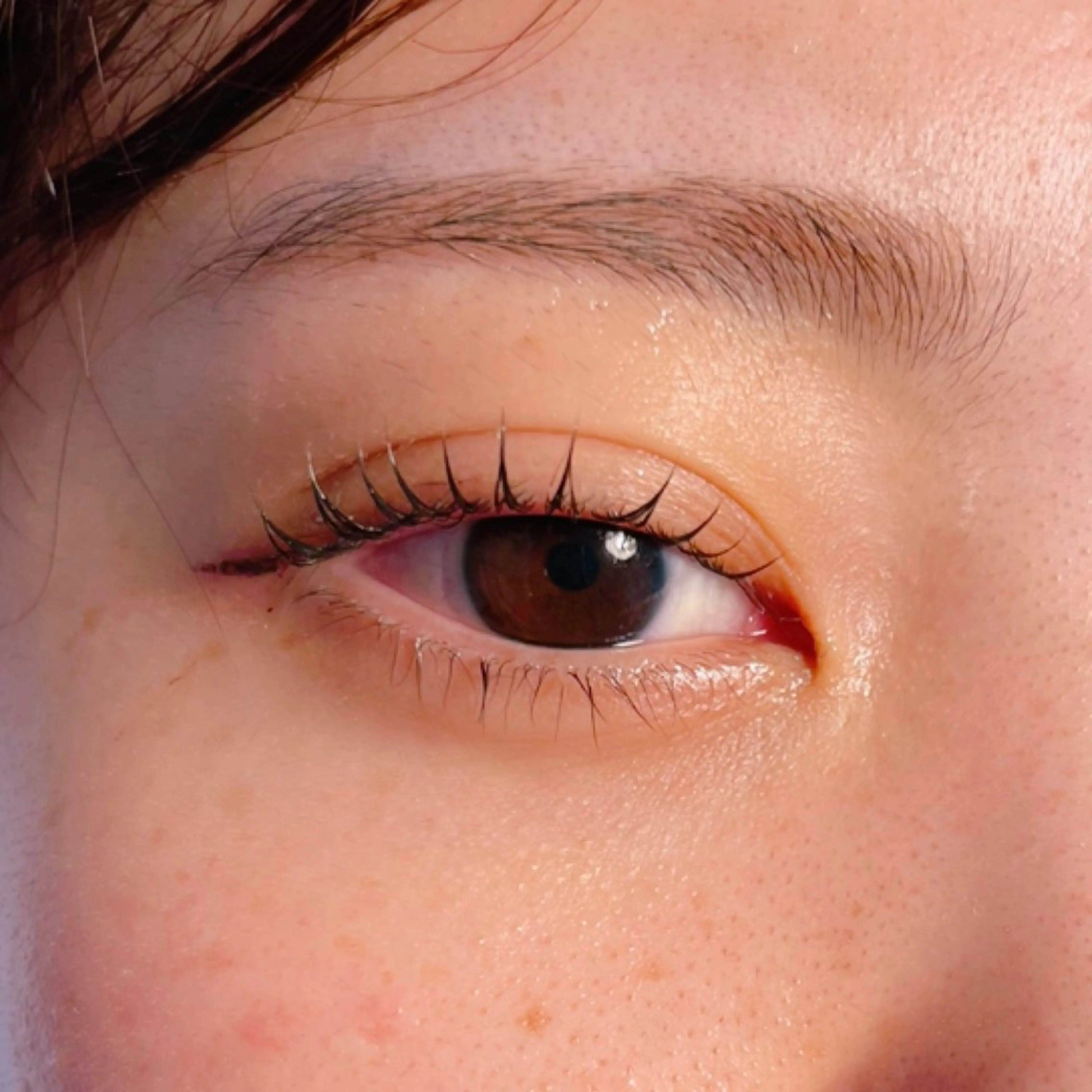 マツエク・マツパ ナチュラル マツパ 𝐞𝐢𝐠𝐡𝐭 MAO🖤の眉毛・アイブロウイメージ