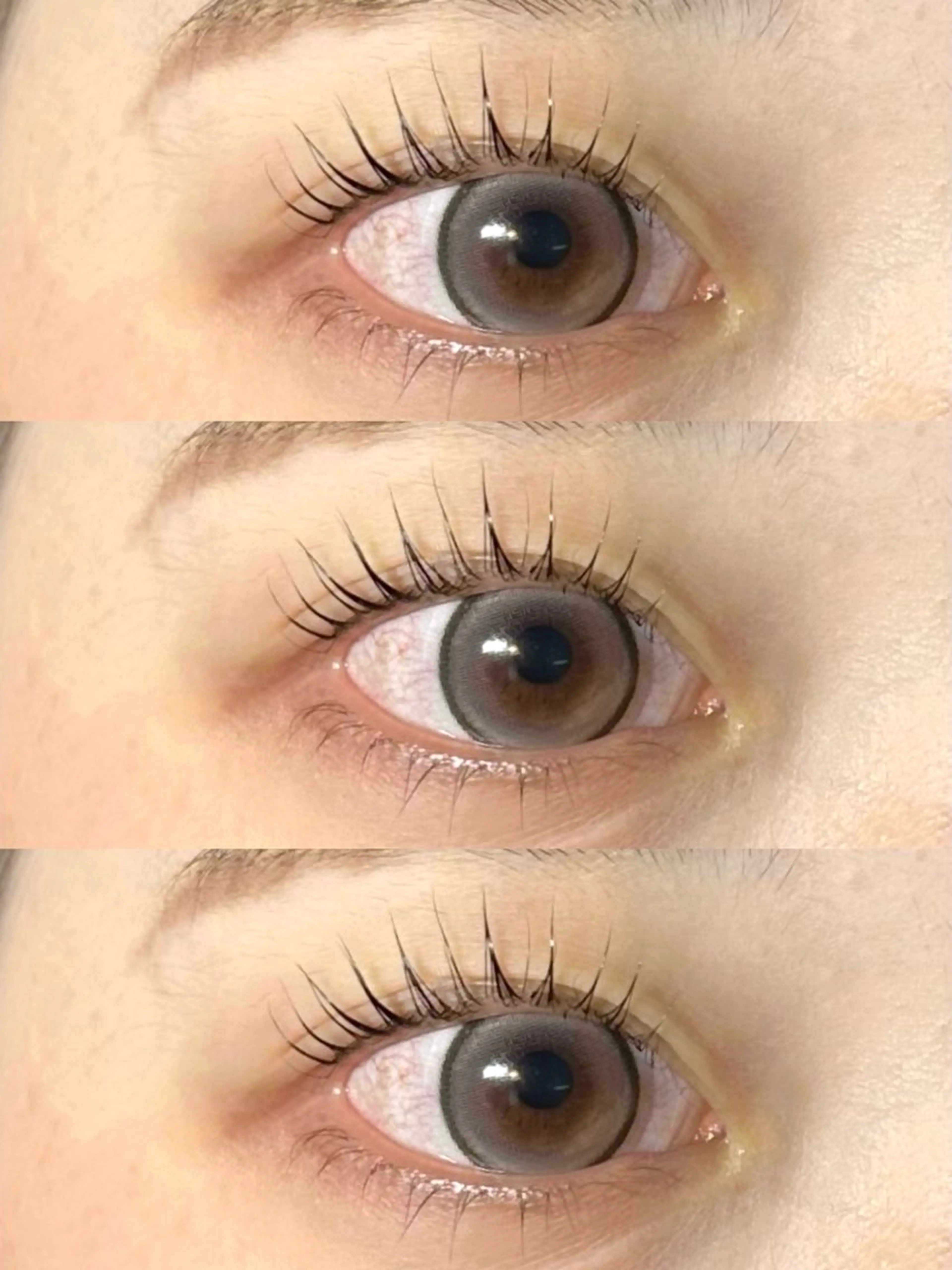 上下パーマ/パリジェンヌラッシュリフト🫧の写真